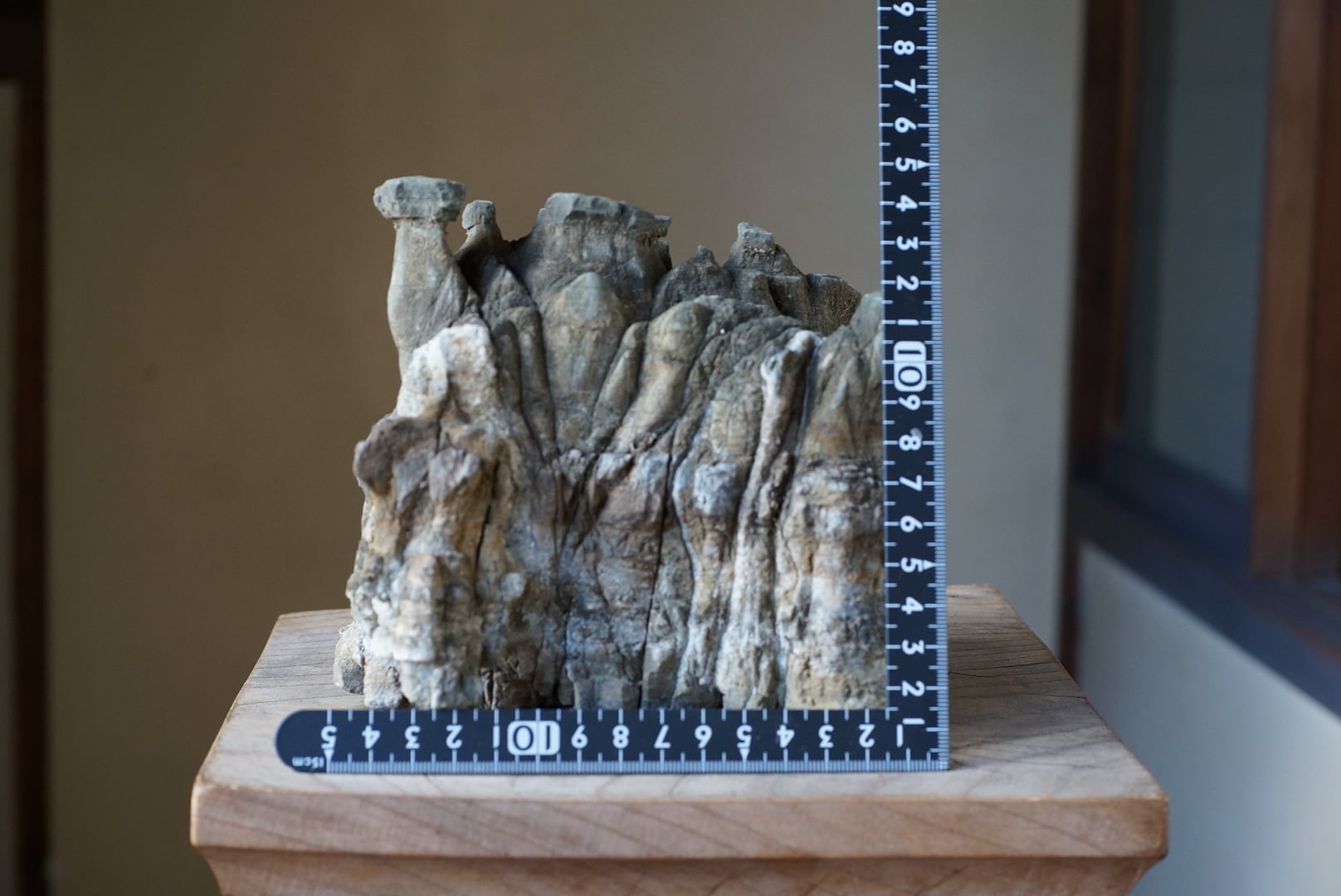 ポンピラ石 誉平石 亀甲石 水石 | 叙景 jokei