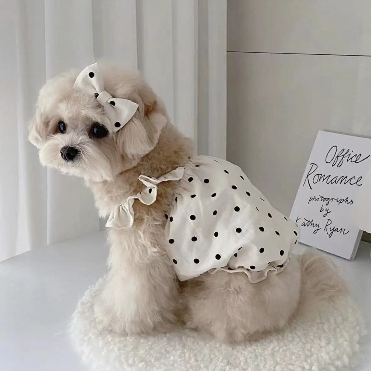犬服ハンドメイド coco.A様専用