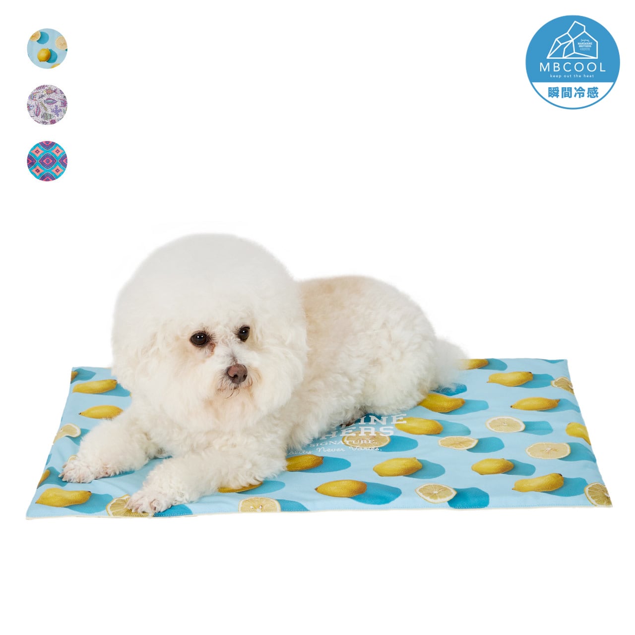 COOL CAFE MAT クールカフェマット | MANDARINE BROTHERS マンダリン