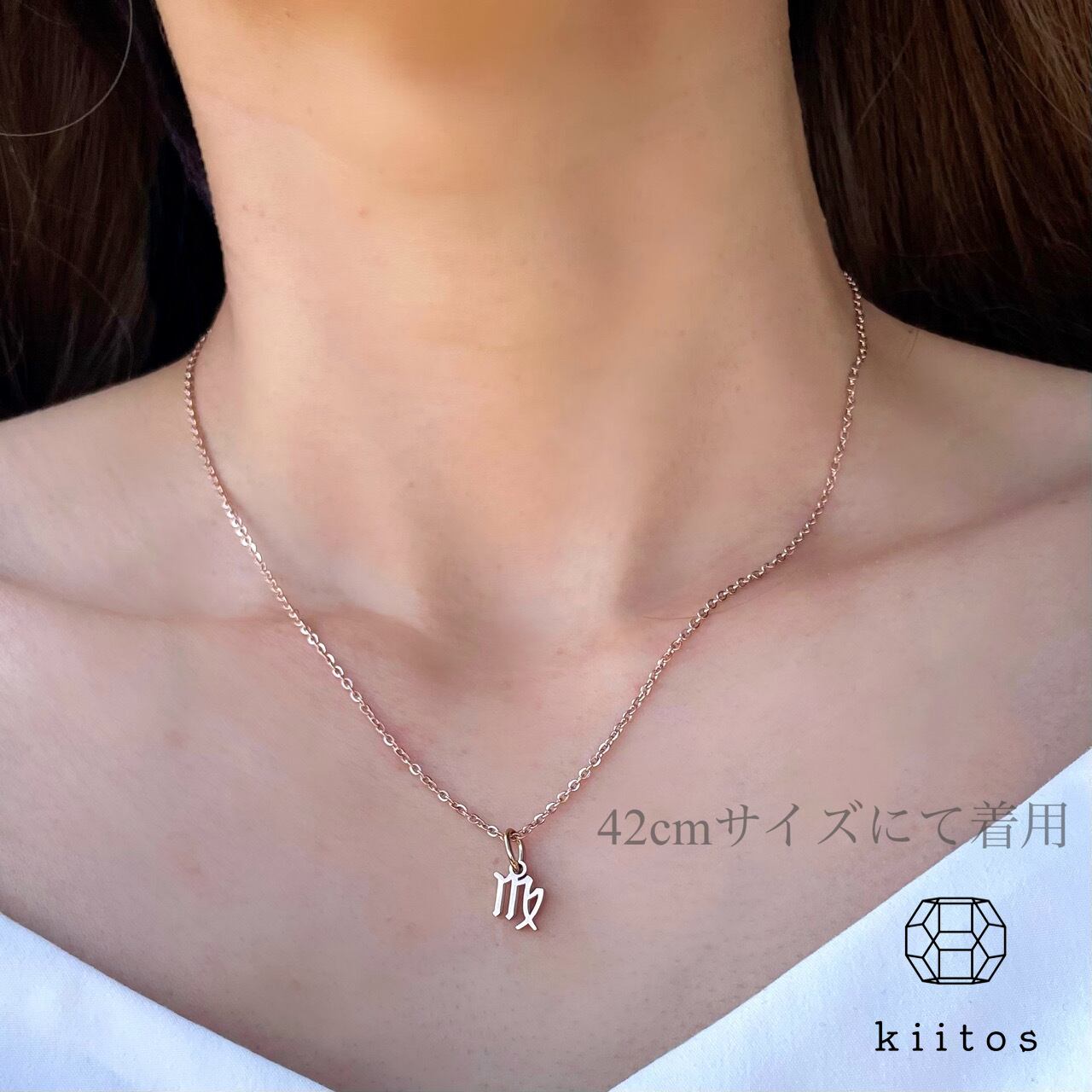 つけっぱなしOK♪ 12 星座 ネックレス 316L サージカルステンレス