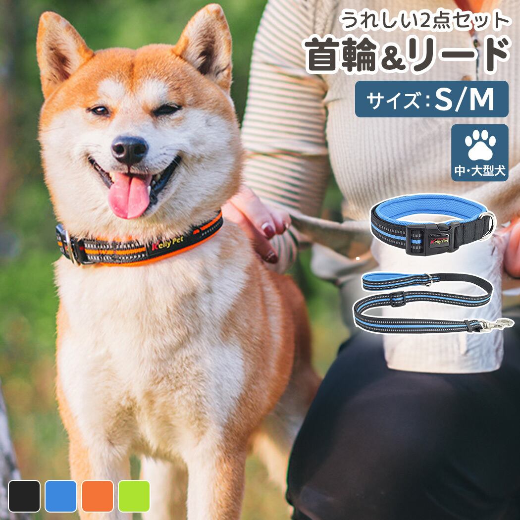 メール便】犬 首輪 リード 2点セット 散歩 反射テープ 蛍光カラー
