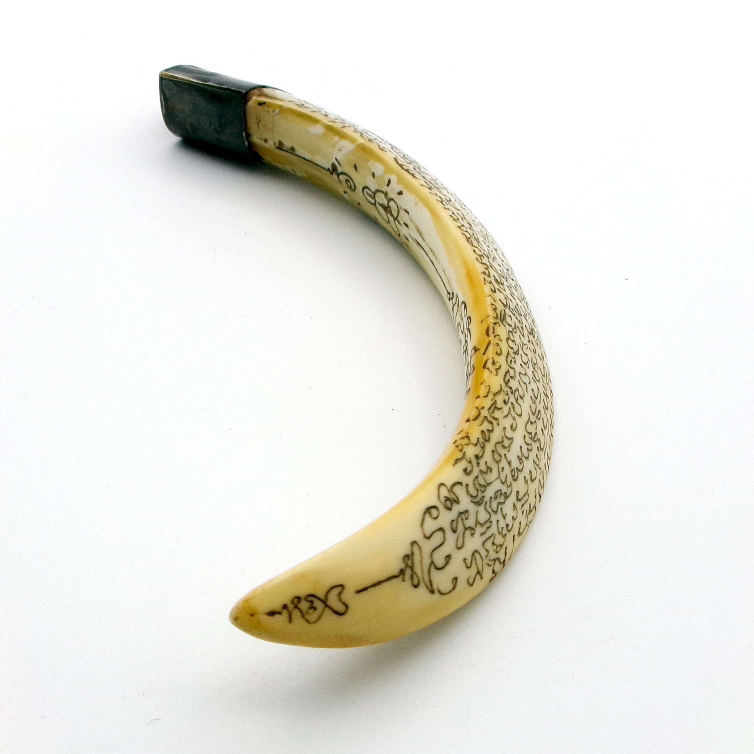 肉食動物 牙 ペンダント お守り 【公式通販】