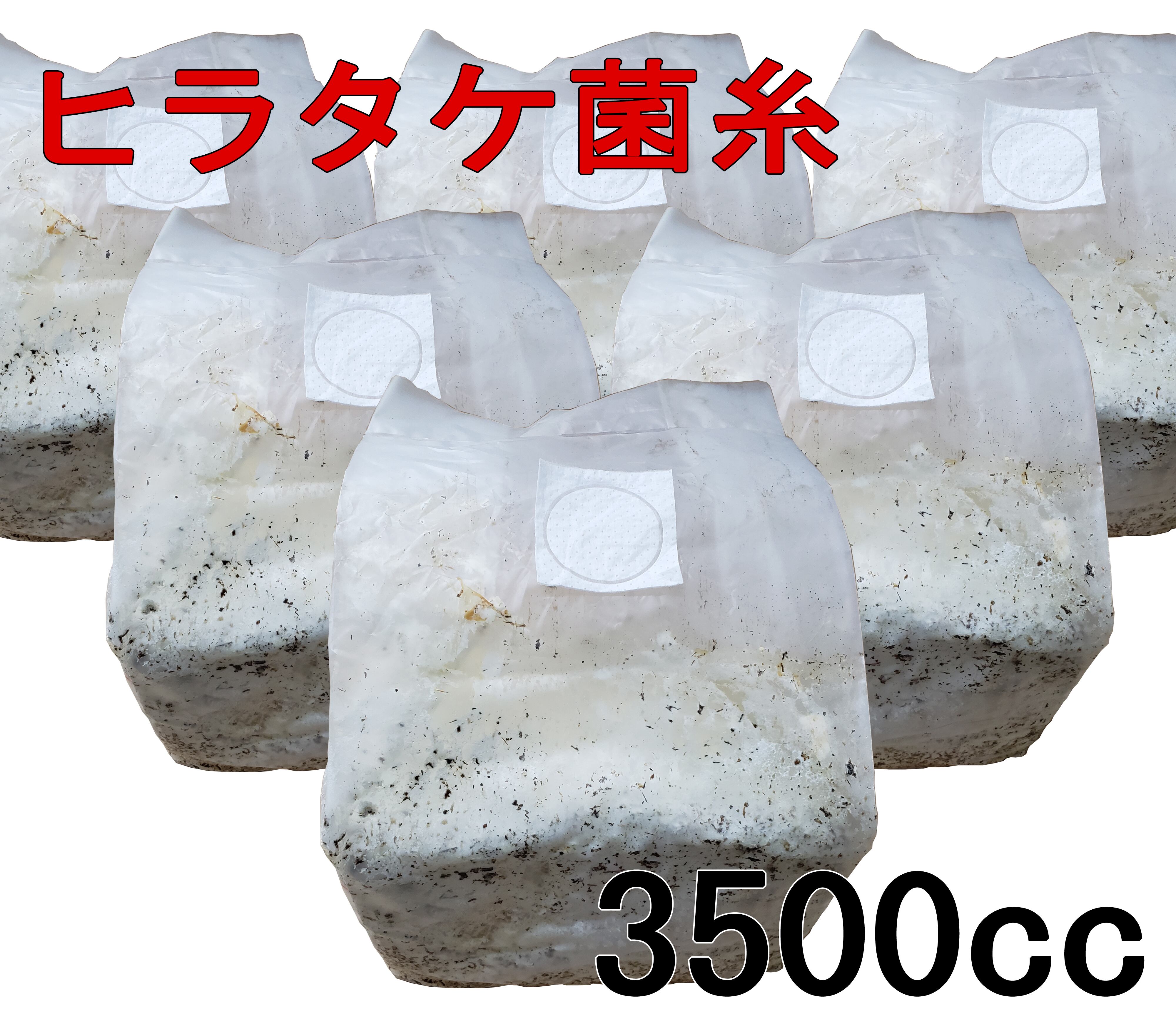高性能・高品質 BREED菌糸ブロック 3500cc 20個 りゅうりん様 卸売 高