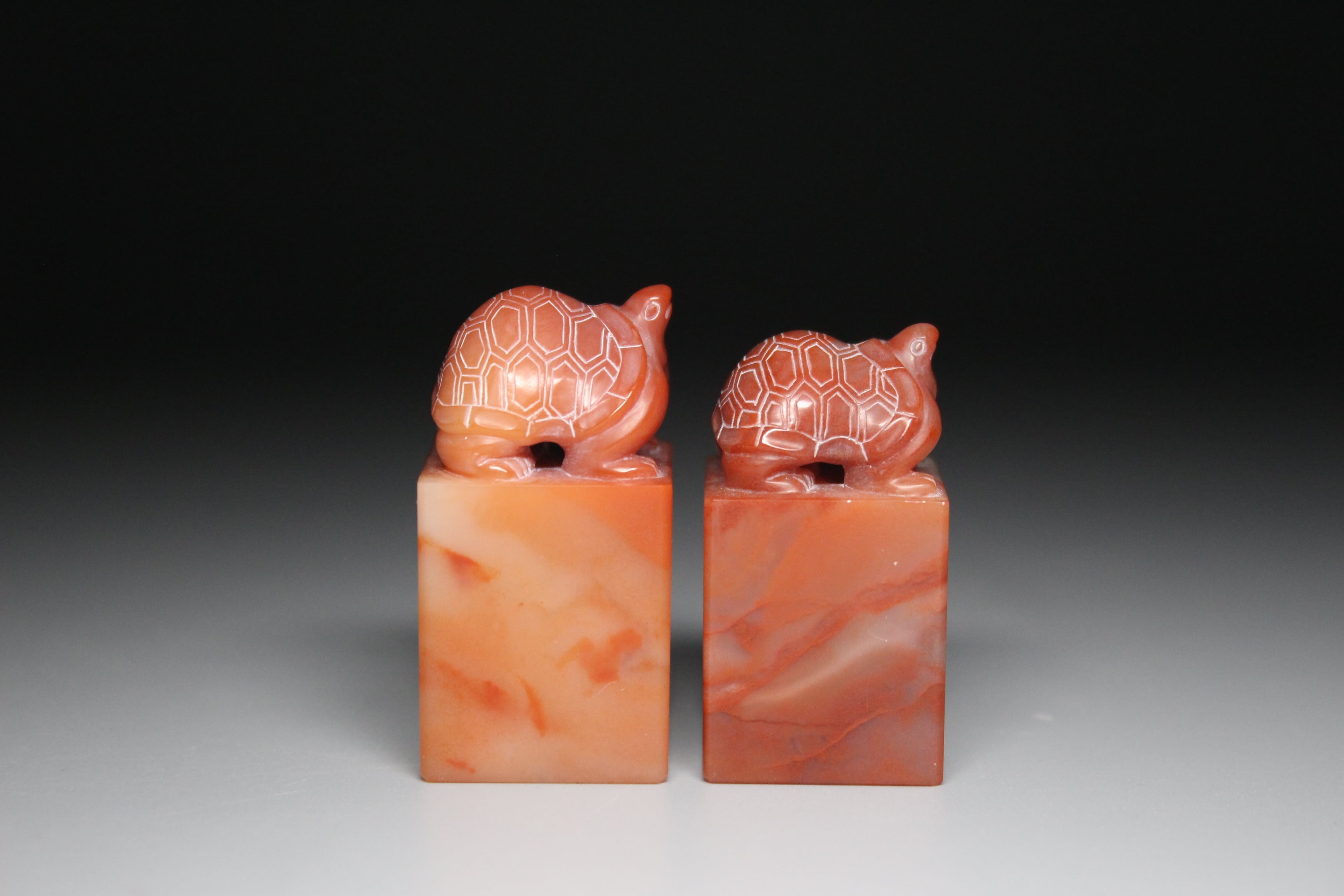 5725ad6d20a0c817cd2f9c54b813f6