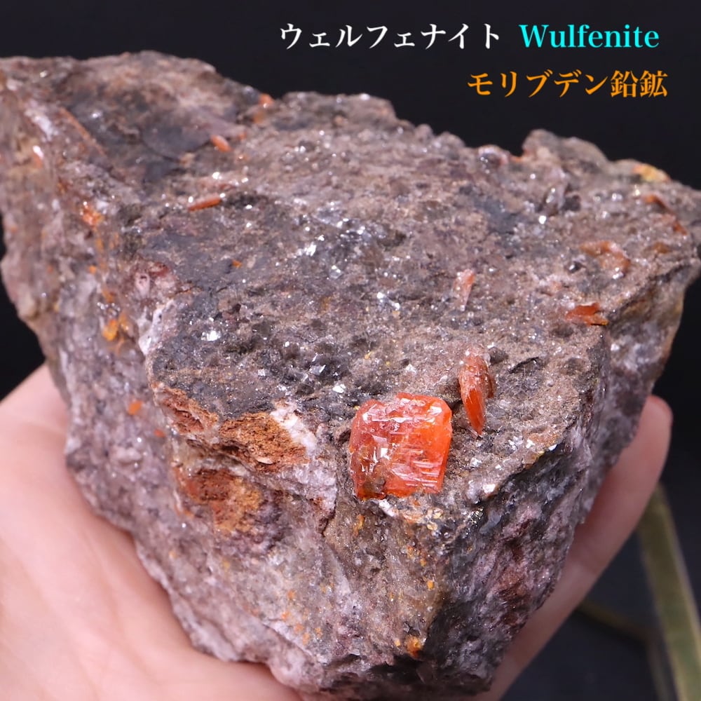 ウルフェナイト モロッコ産 原石 鉱物標本 水晶 天然石 モリブデン鉛鉱
