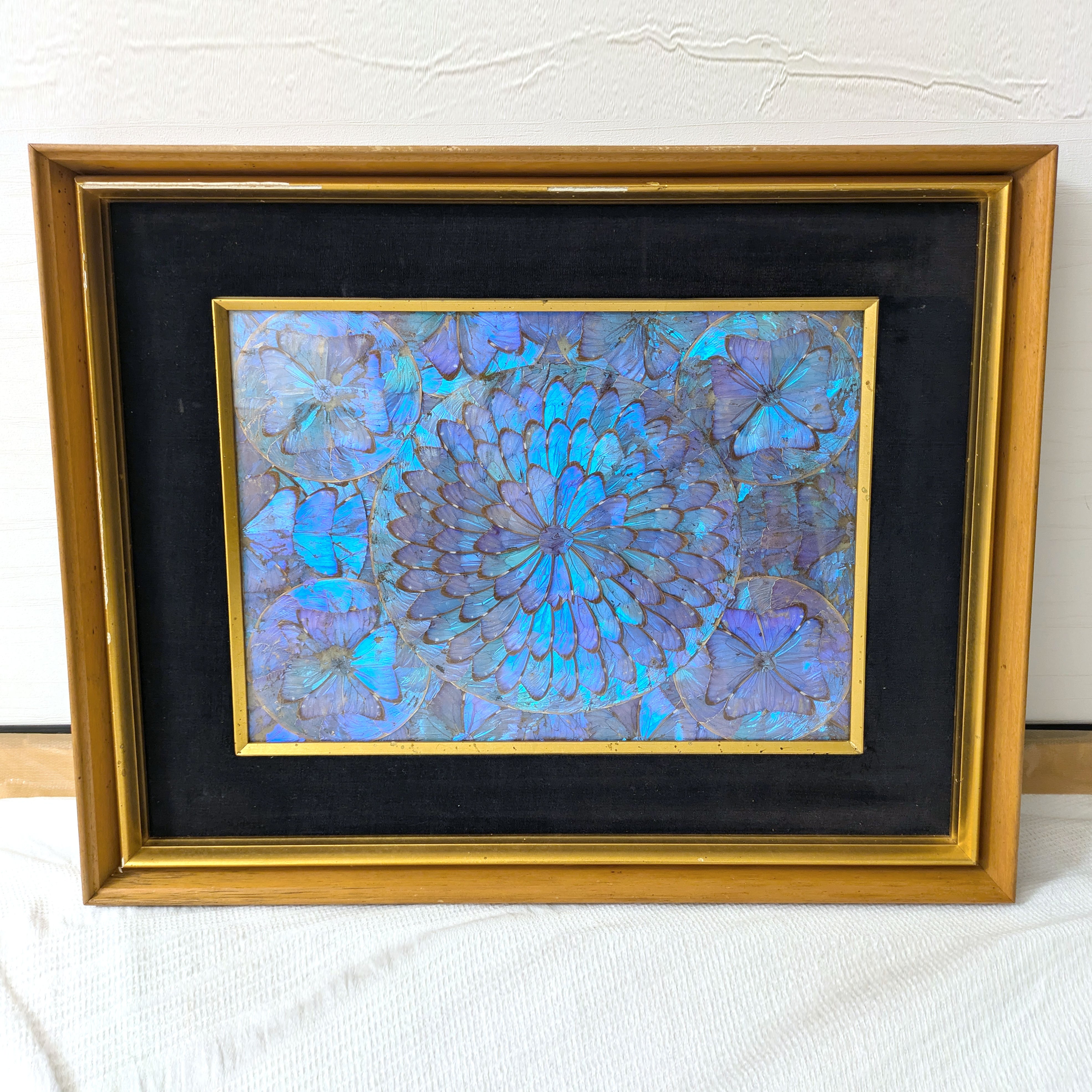 蝶画・蝶羽アート・モルフォ蝶・壁飾り・インテリア・No.240902-02