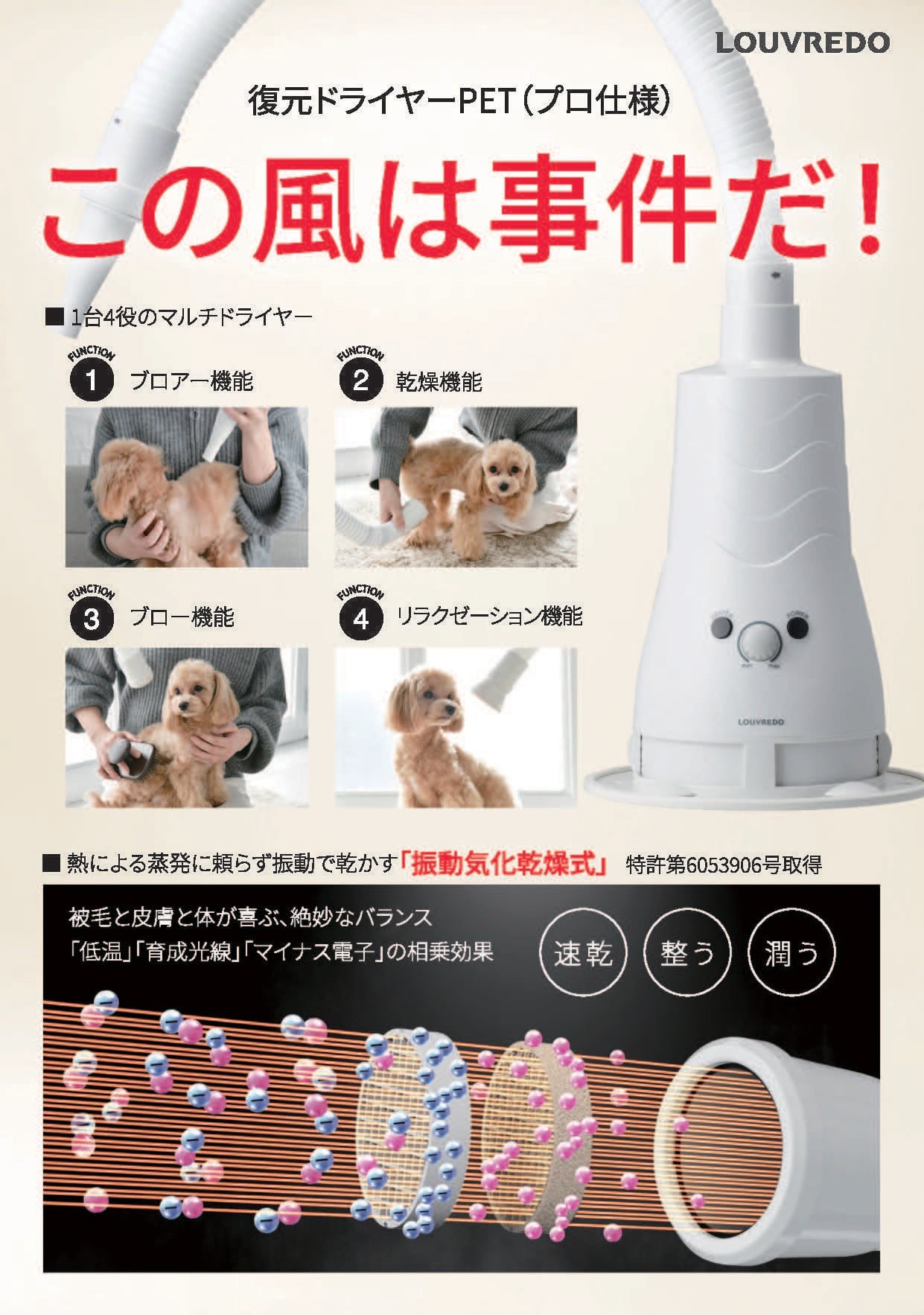 復元ドライヤーPET 4573178856985 | SyanteOnlineShop『オーガニック