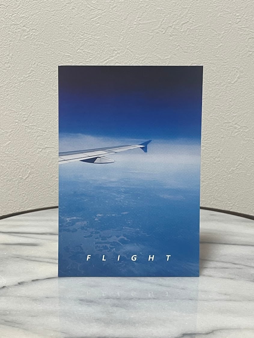 飛行機 ポストカード 5組40枚 昭和30年代 新生堂 絵葉書 タトウ付 JAL