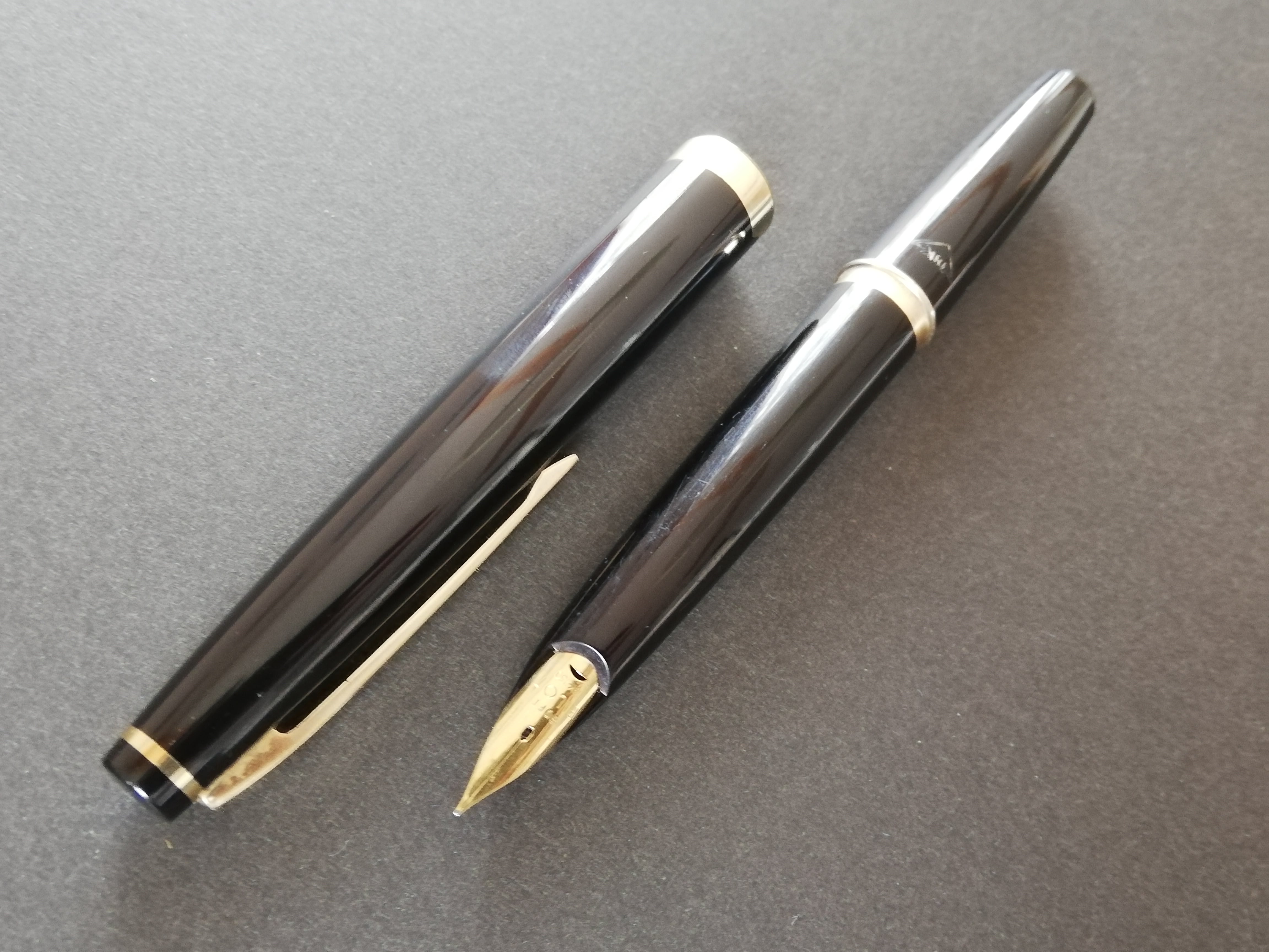 0179 オーバーホール済み 万年筆 パイロット Elite ロング 18k 【公式