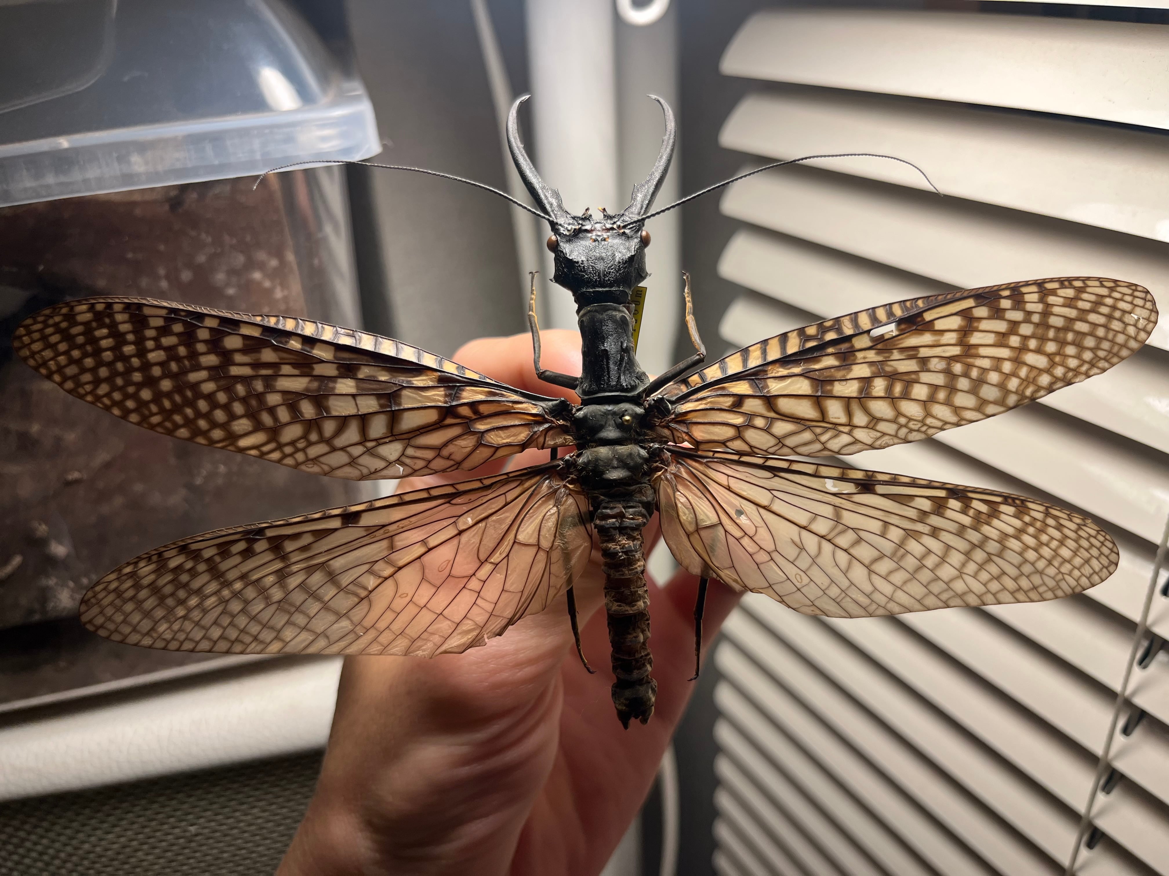 64256b046c53d4517e5259f5060635