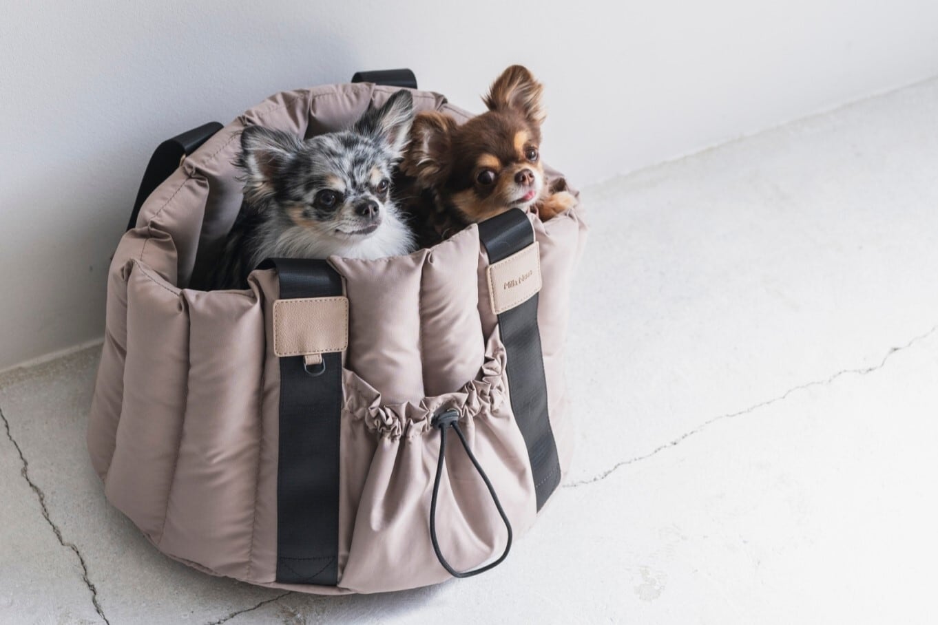 CARRY BAG | Milla Noue ミラヌー 【最終価格】ミラヌー 小型犬