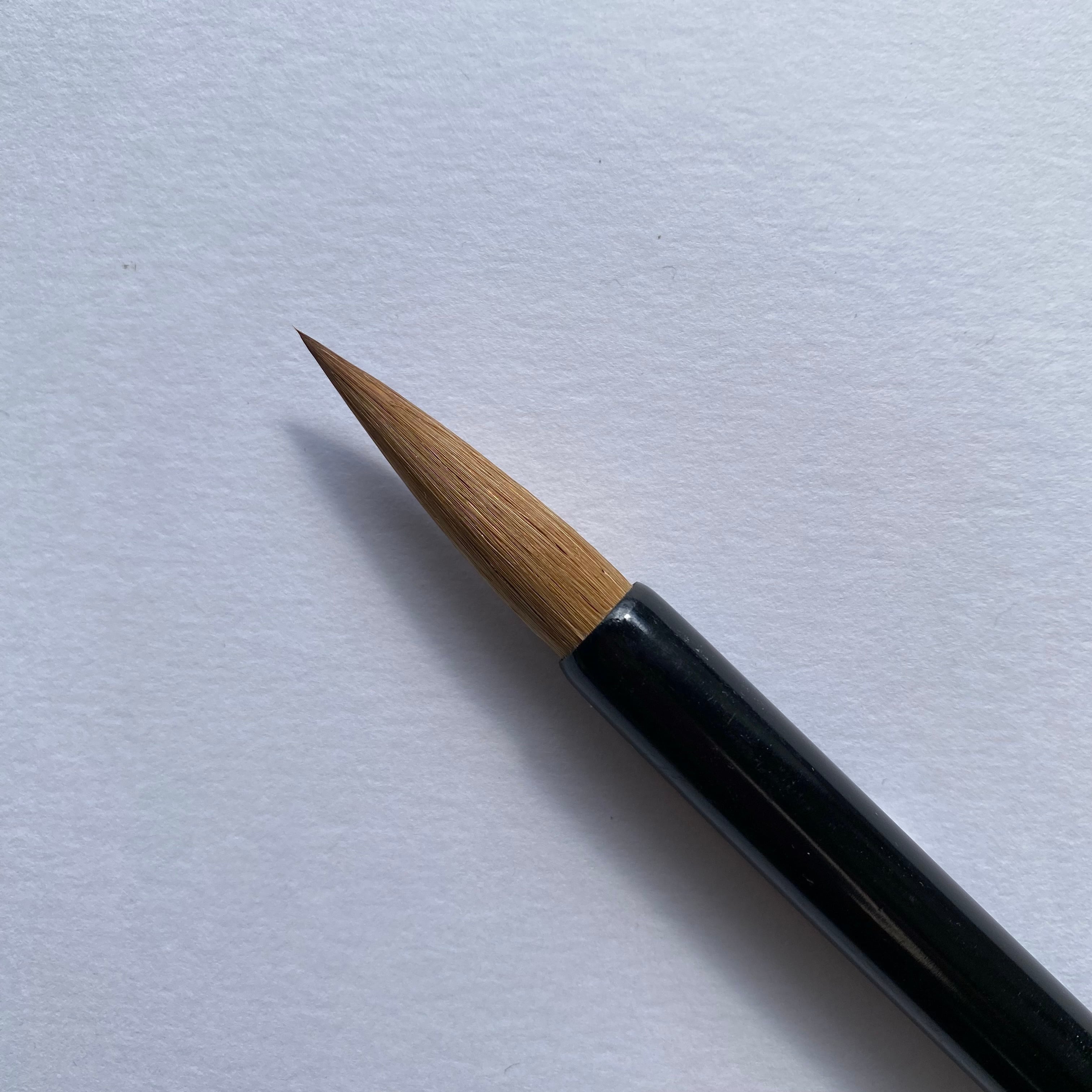 肉筆 扇面 筆文字 9面セット 肉筆 扇面 筆文字 9面セット 肉筆 扇面