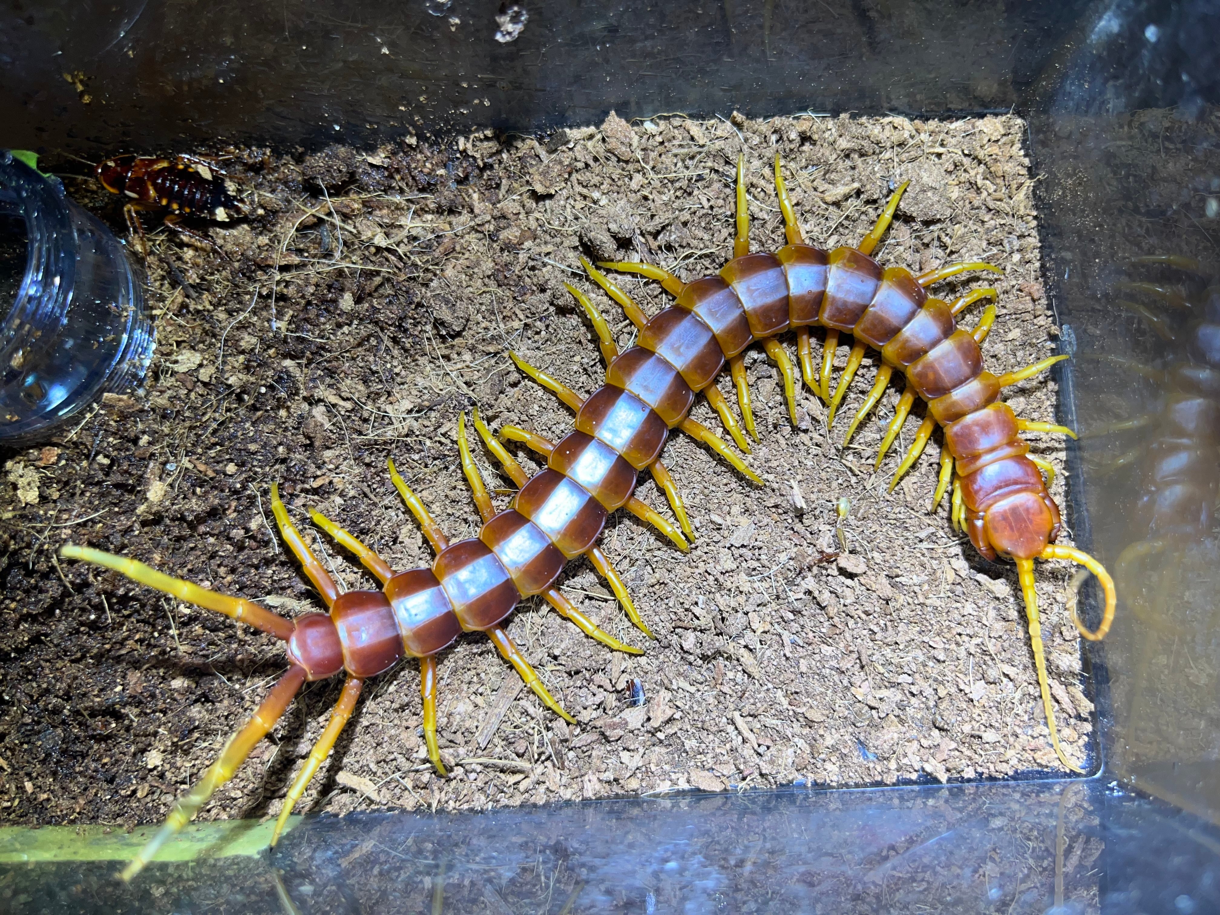 67822878c4c553c95217a21d8294da