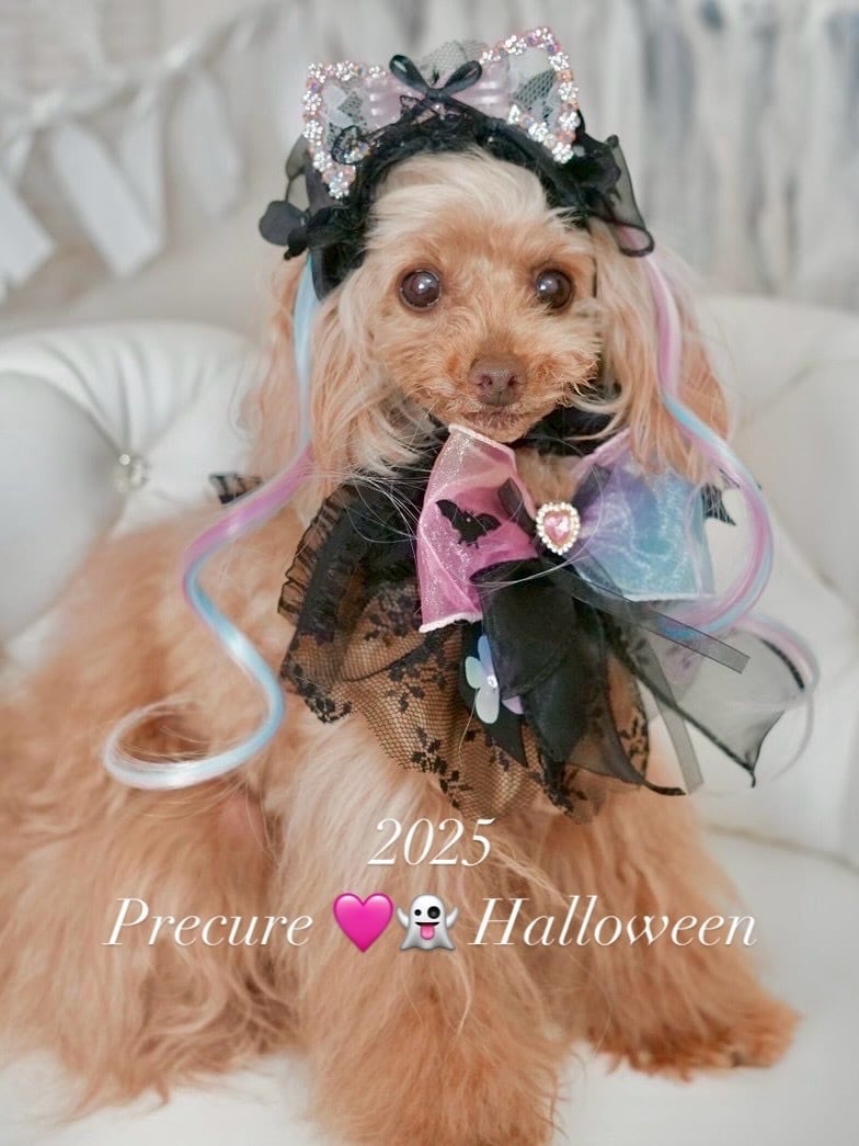 パピリーヒルズ⭐︎ Miss blue pet⭐︎ デニムワンピースセット