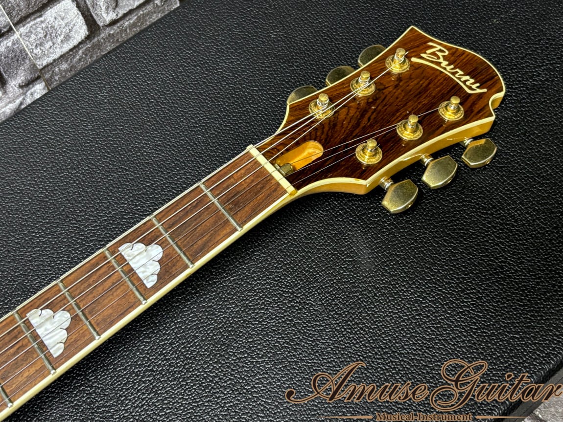 ギター FERNANDES Burny hide MG-85X fernandes burny hide MG-85X