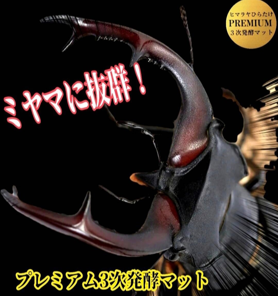 特大サイズ1500mlクリアボトル入り プレミアム3次発酵マット【4本