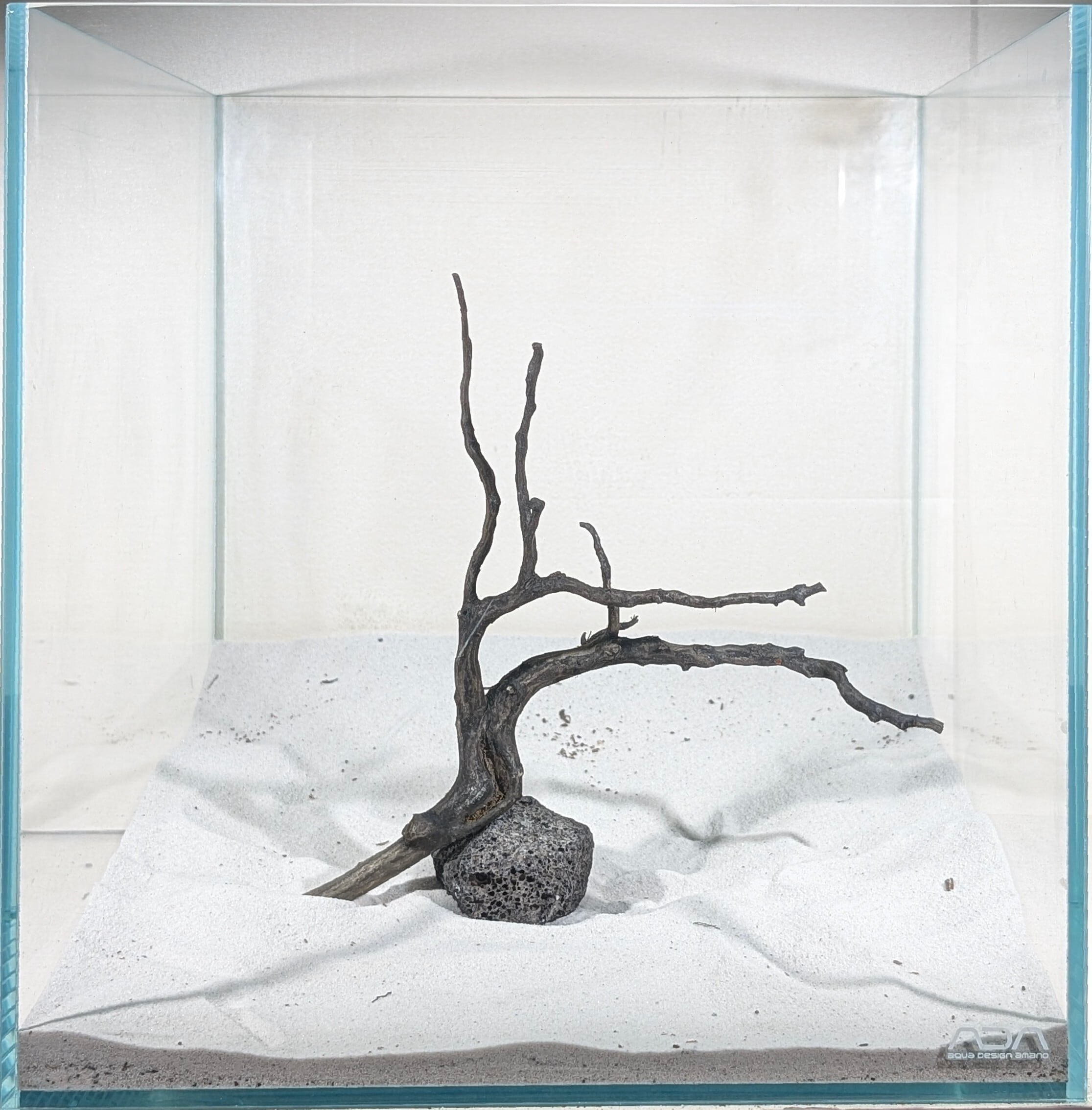 ブラックスマトラブランチウッド【BSB090】 | ペットの流木 水宗工房