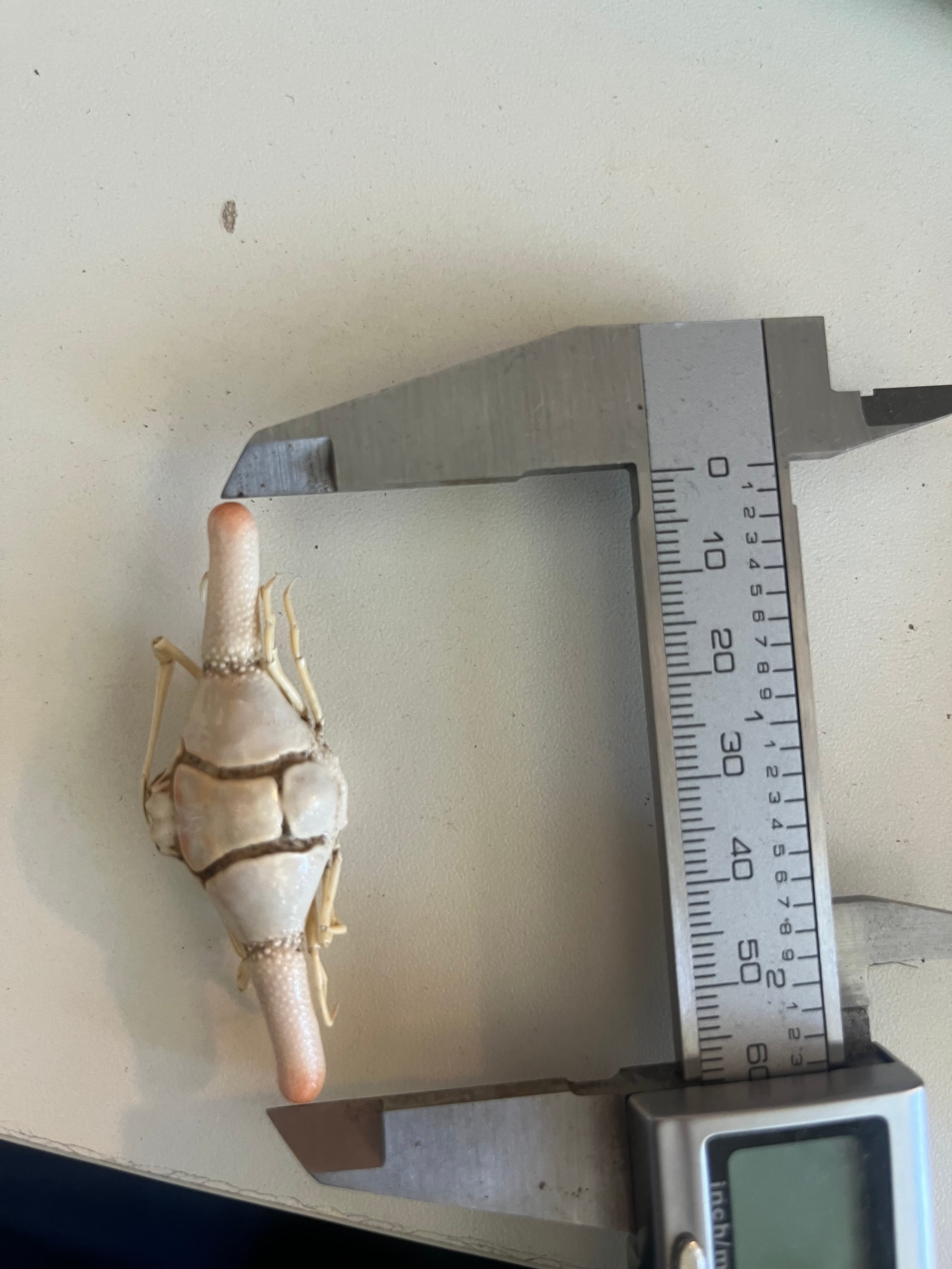 6c3c5444a1415c62b576b9de422435