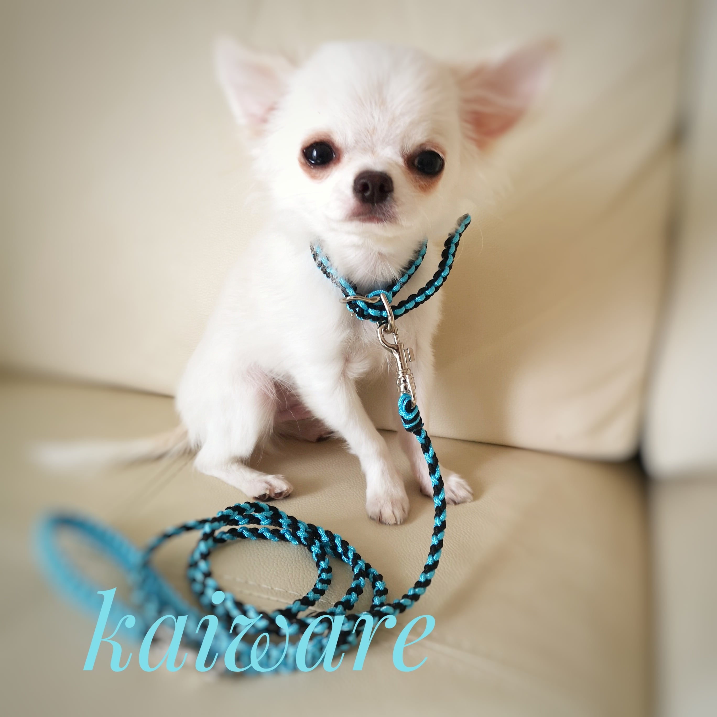 パラコードリード 幅広 ダブルハート編み フリンジ付 中型犬 大型犬