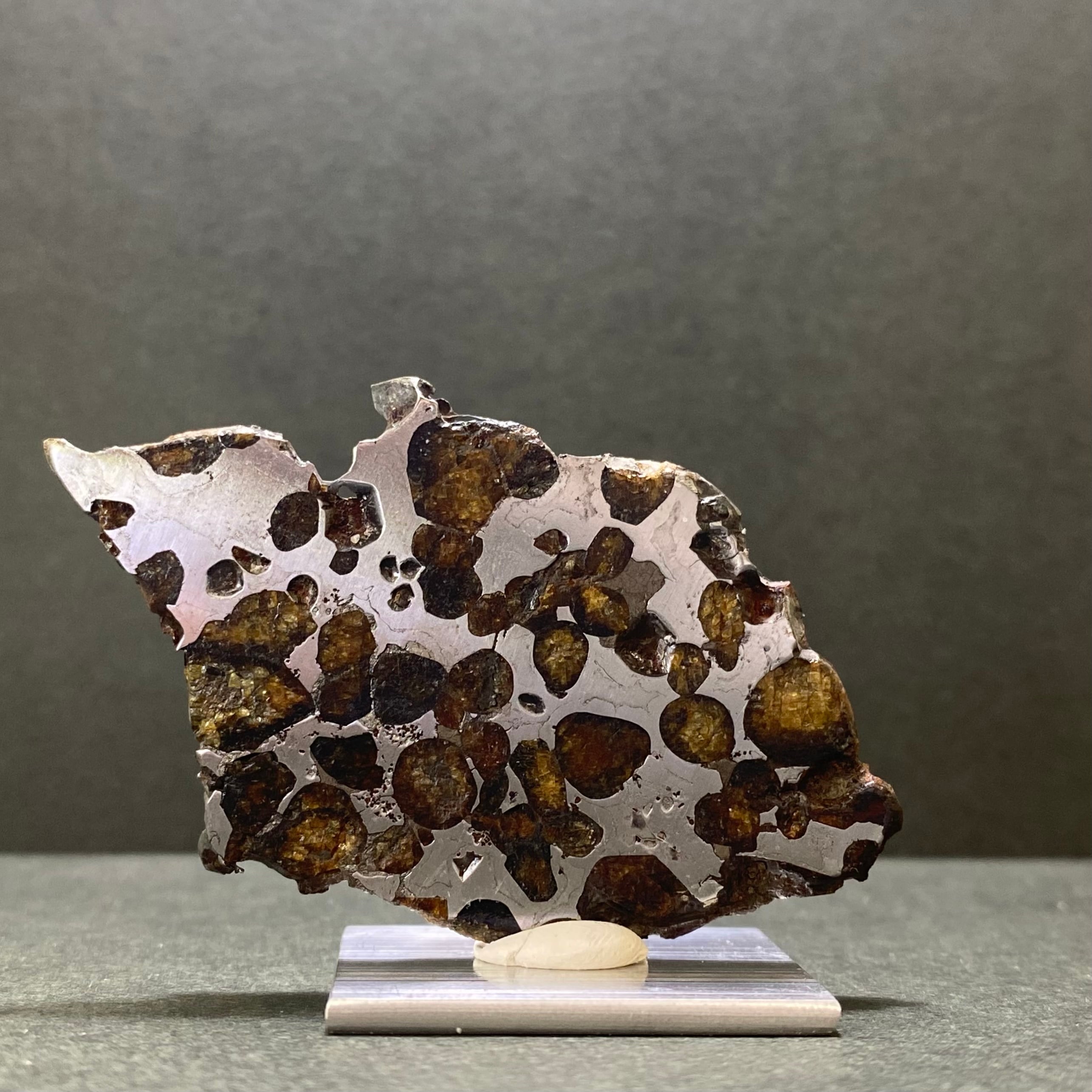 大型】セリコ隕石 Sericho Meteorite 24041340 | 【隕石屋】METEOS