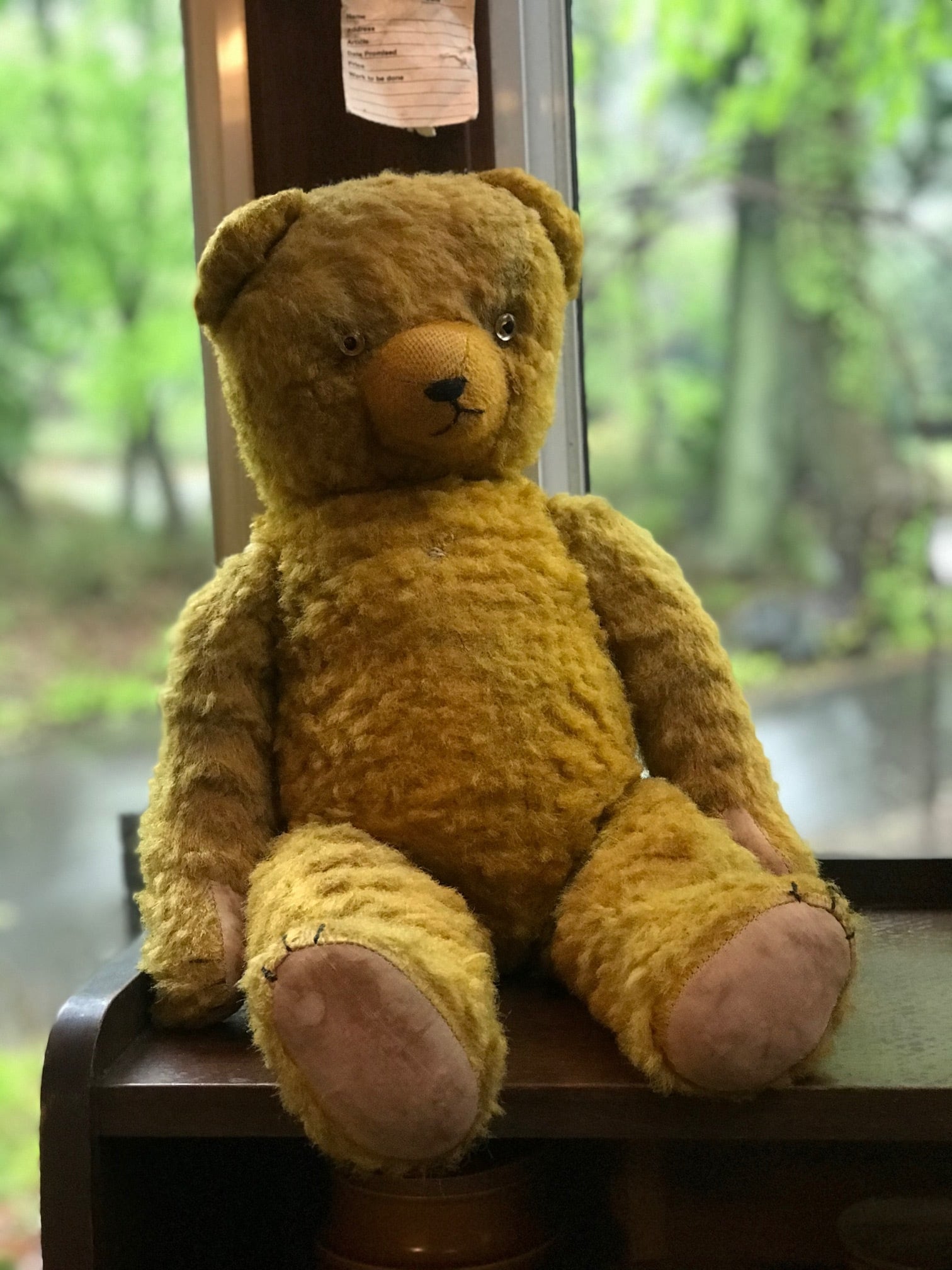 ヴィンテージ 古いドイツのテディベア アンティークベア アンティーク