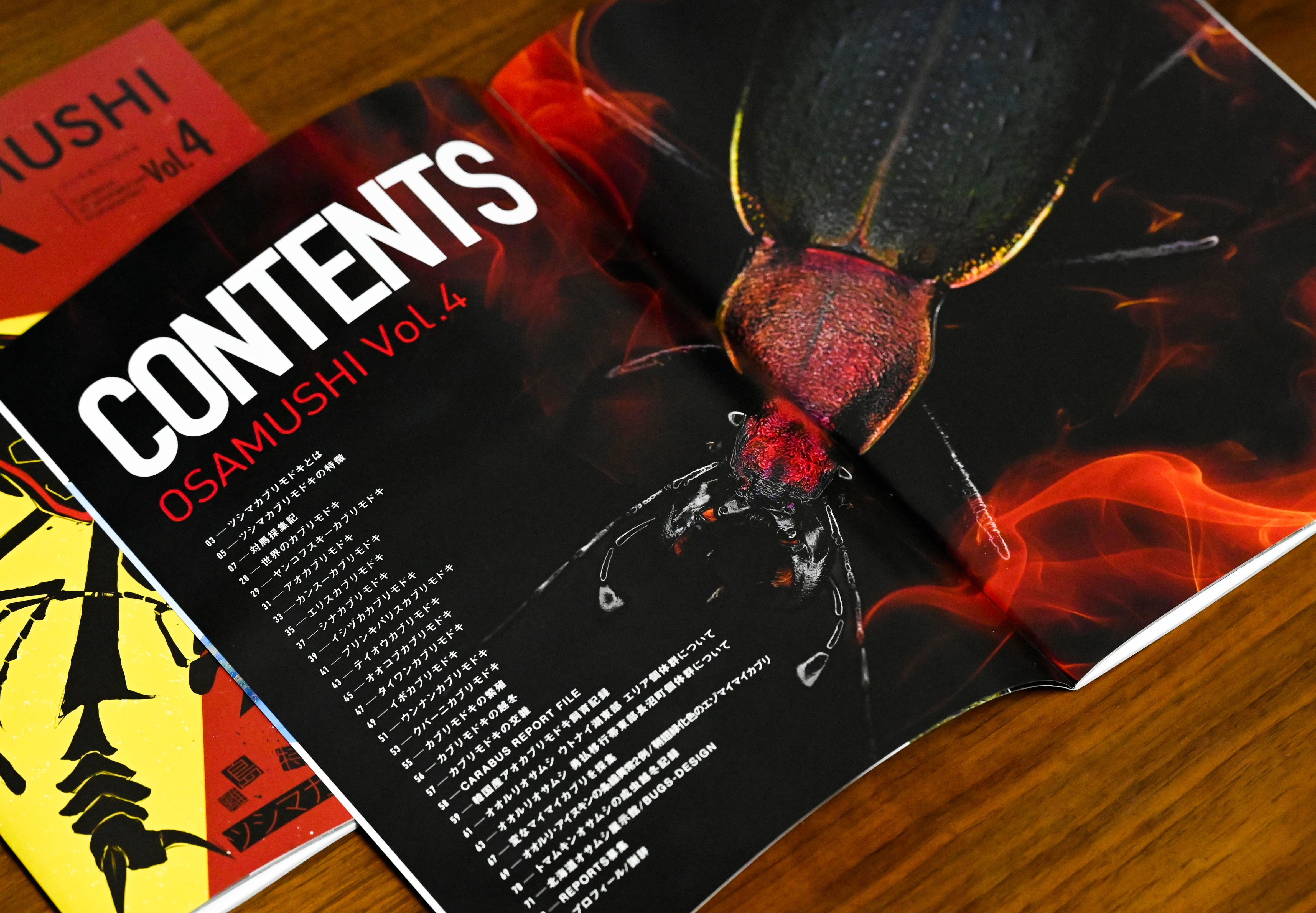 【32mm】Eucarabus ulrichi オサムシ カブリモドキ標本 30mm】Eucarabus ulrichi allionidiernaeオサムシ カブリモドキ標本