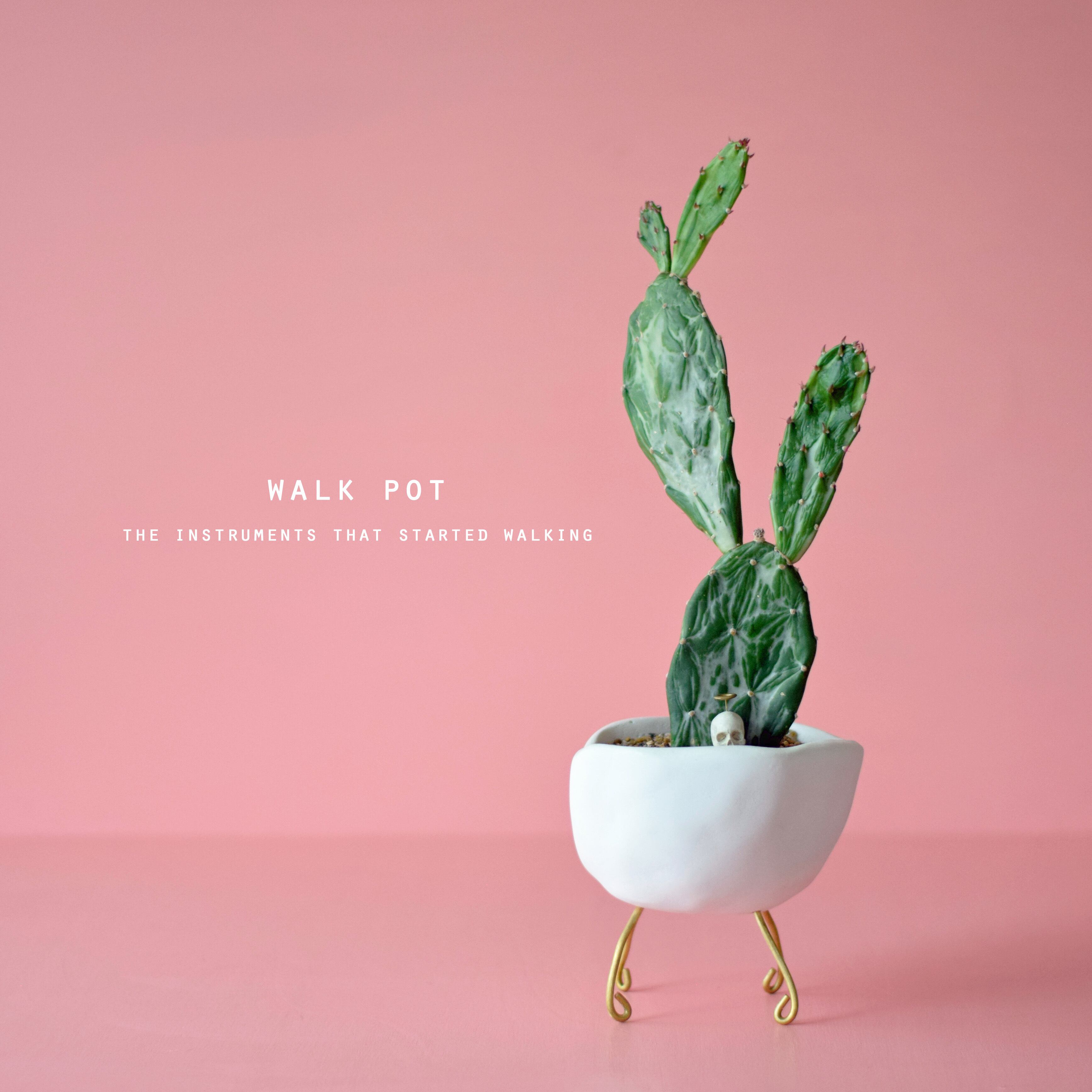 walk pot stroller(white) サボテン・初日の出 | Sabotensi