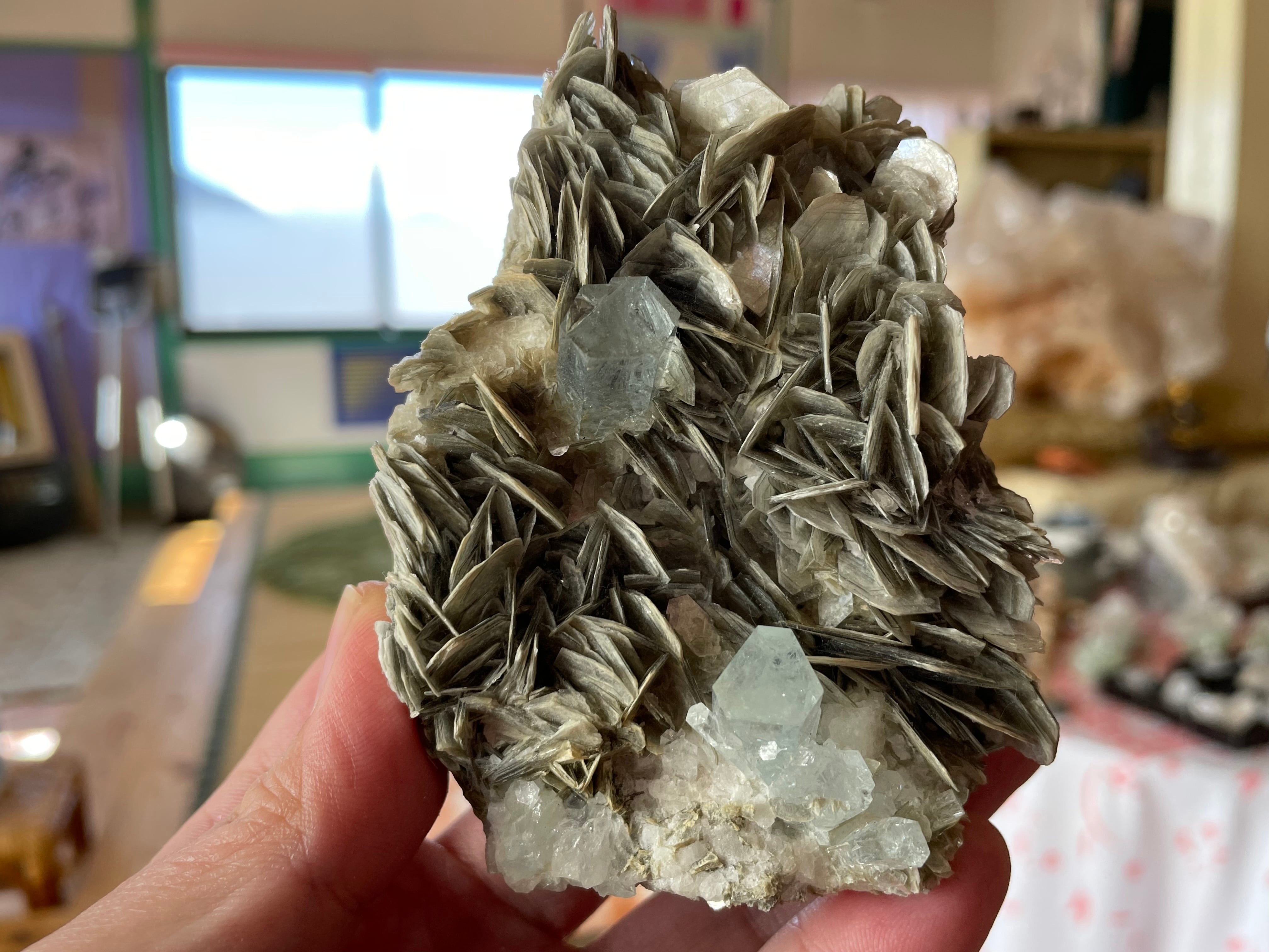 7c8e29aa9a60ad1d8eb91fa8168fa1