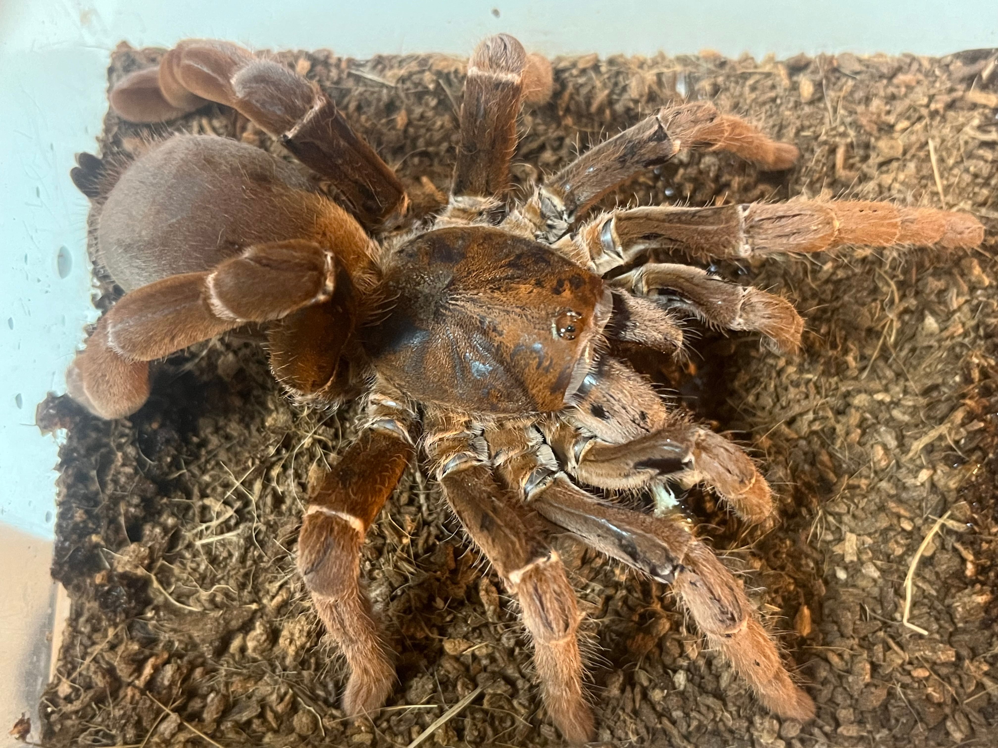 7e82204f5022ea1b2c23aa44d549ca