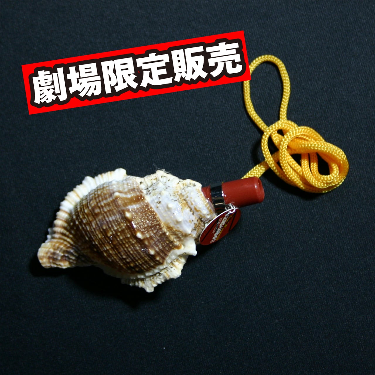 希少❗️沖縄 本物 法螺貝 縁起物 笛 ほら貝 和楽器 希少❗️沖縄 本物