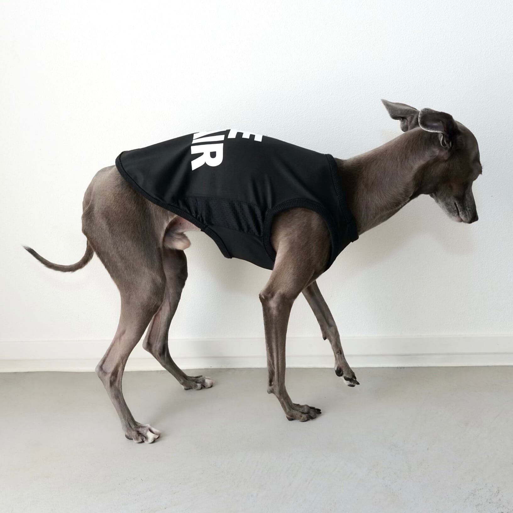 蛍光ピンクメッシュのタンクトップ小さめSサイズイタグレ服犬服