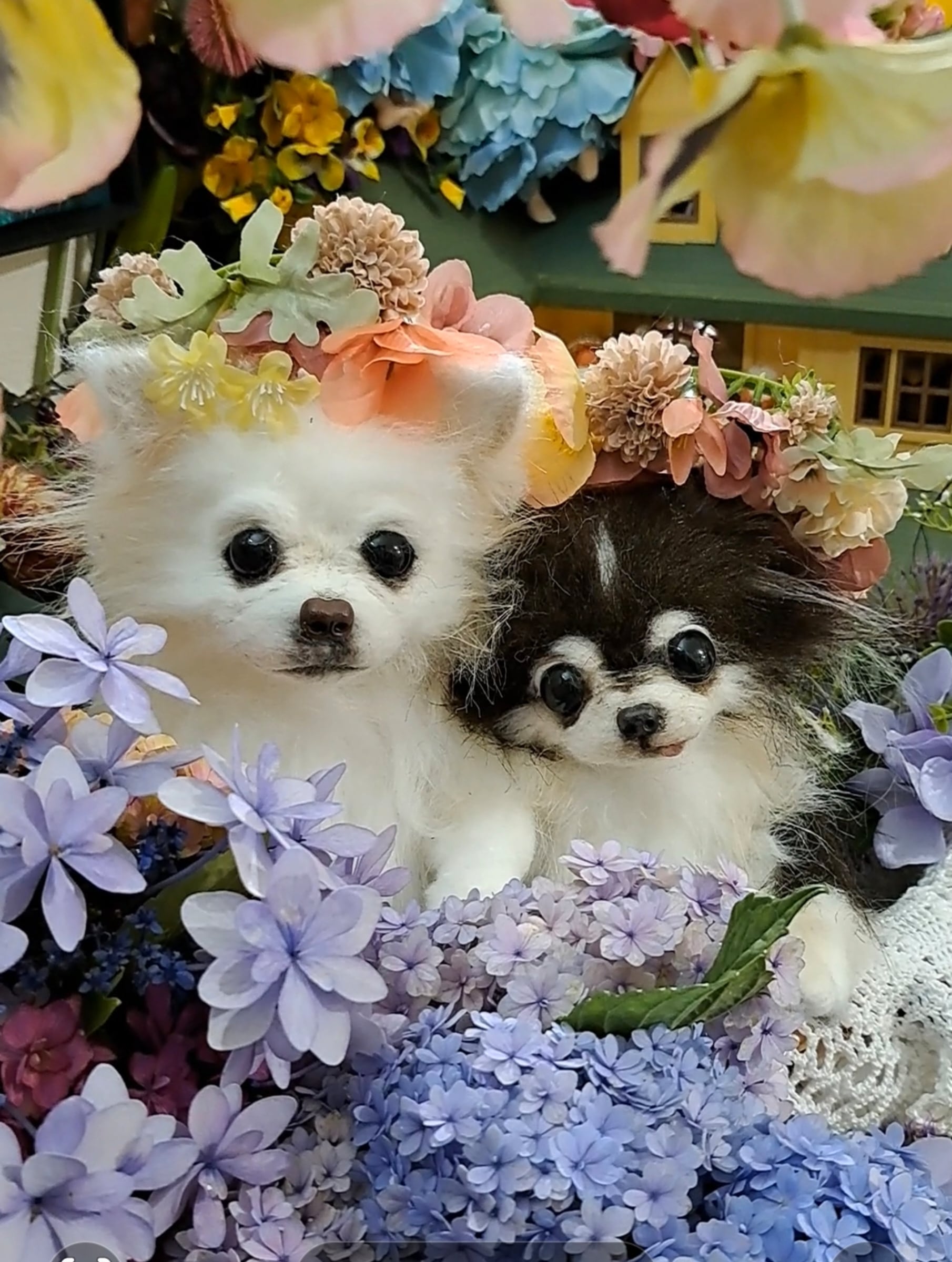 オーダー受付いたします♥️ 実物大 チワワ 愛犬 分身 ぬいぐるみ 羊毛