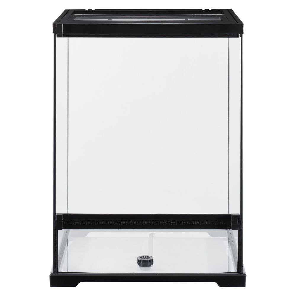 グラステラリウム4560