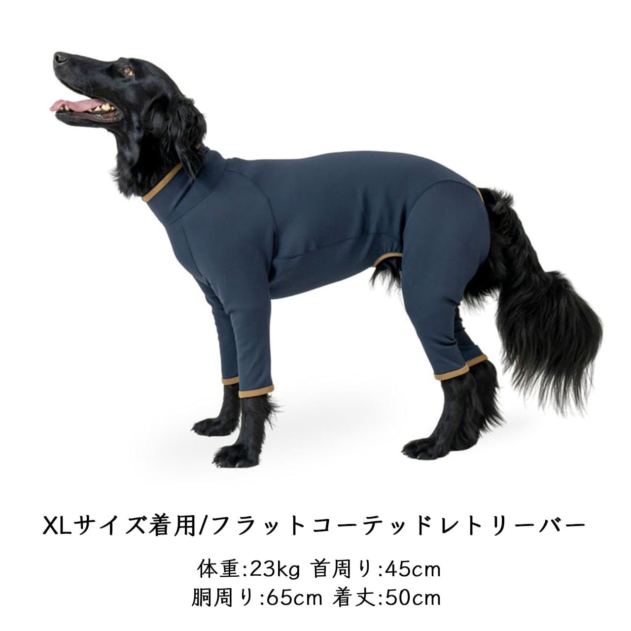 ALPHAICON [アルファアイコン] HOT DOG GUARD [25HDG] ホットドッグ