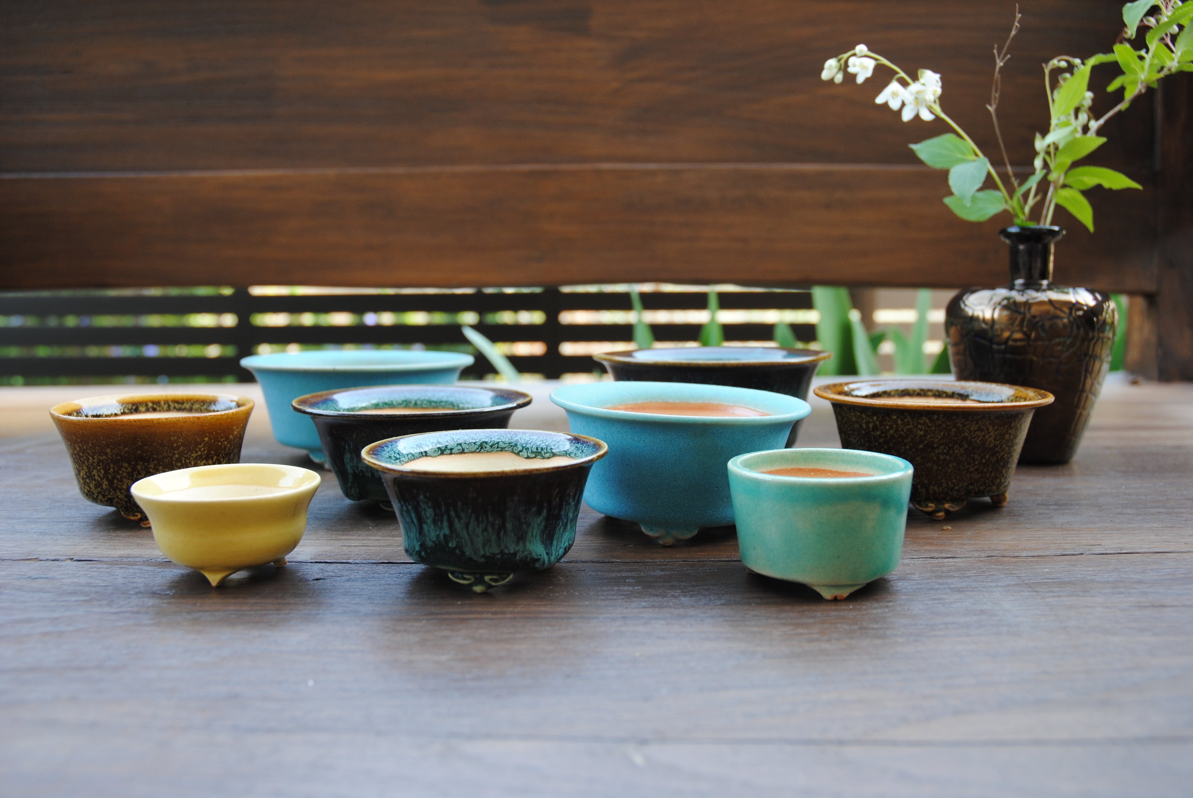 盆栽鉢植木鉢陶芸園芸盆栽