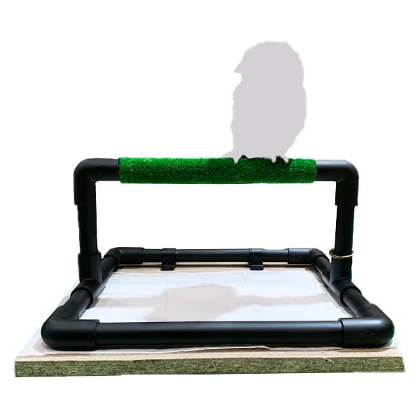 猛禽類 ファルコンブロック バーチ