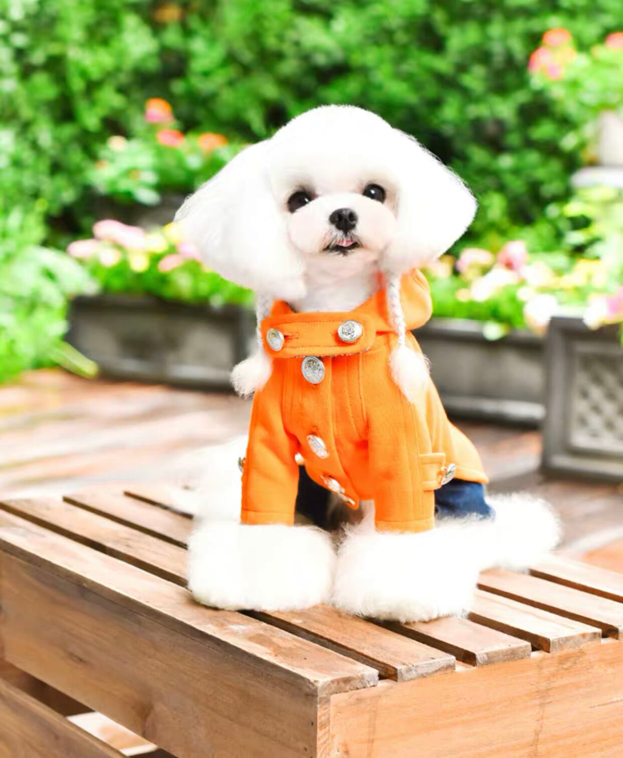 即納】【日本初上陸】犬服 PEEKAPOODLE マカロンダッフルコート 犬の服