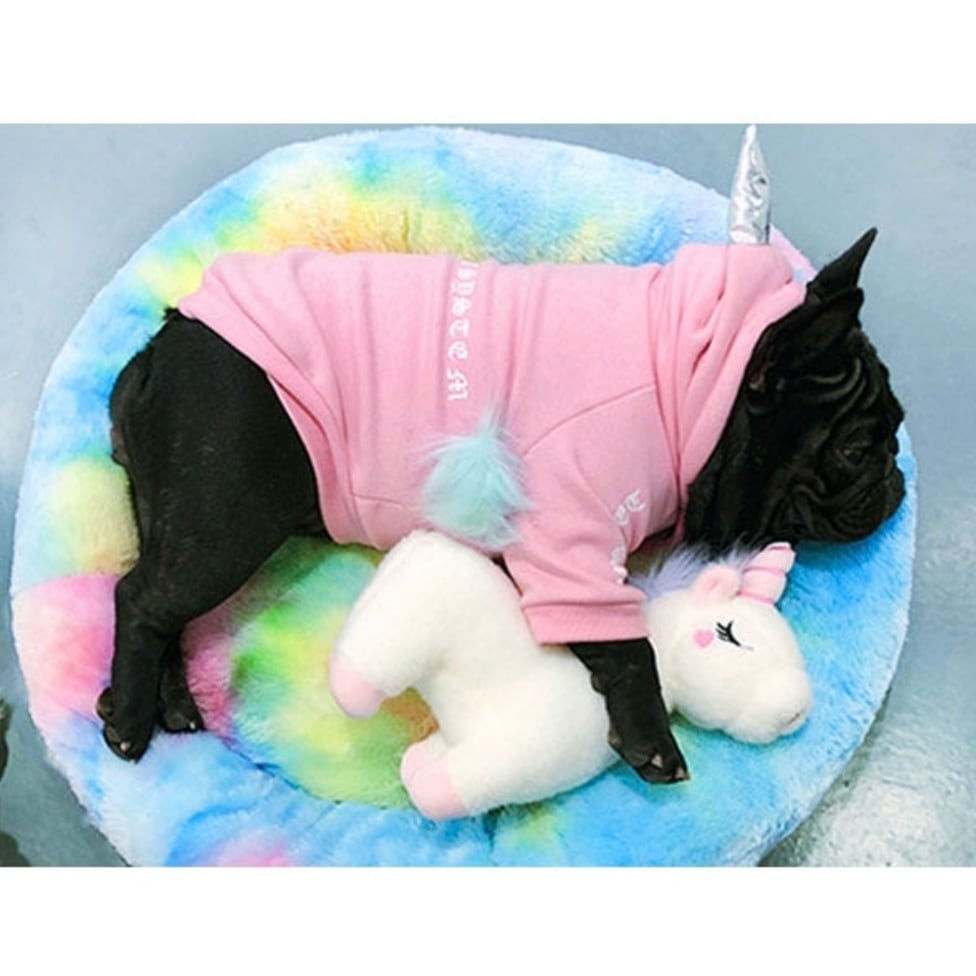 ○犬服○ハンドメイド 胴62 NO.587 フレブル アメリカンブリー