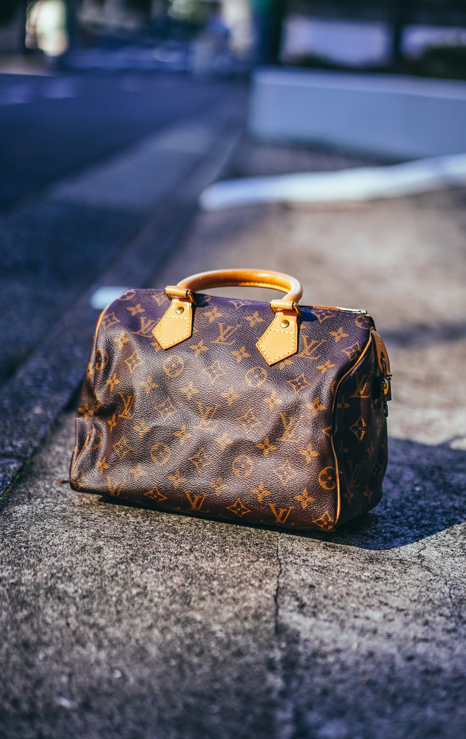 ルイヴィトンスピーディー30