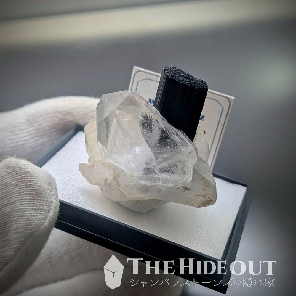 ヒマラヤ産鉱物原石標本029 タプレジュン地区産ショールトルマリン