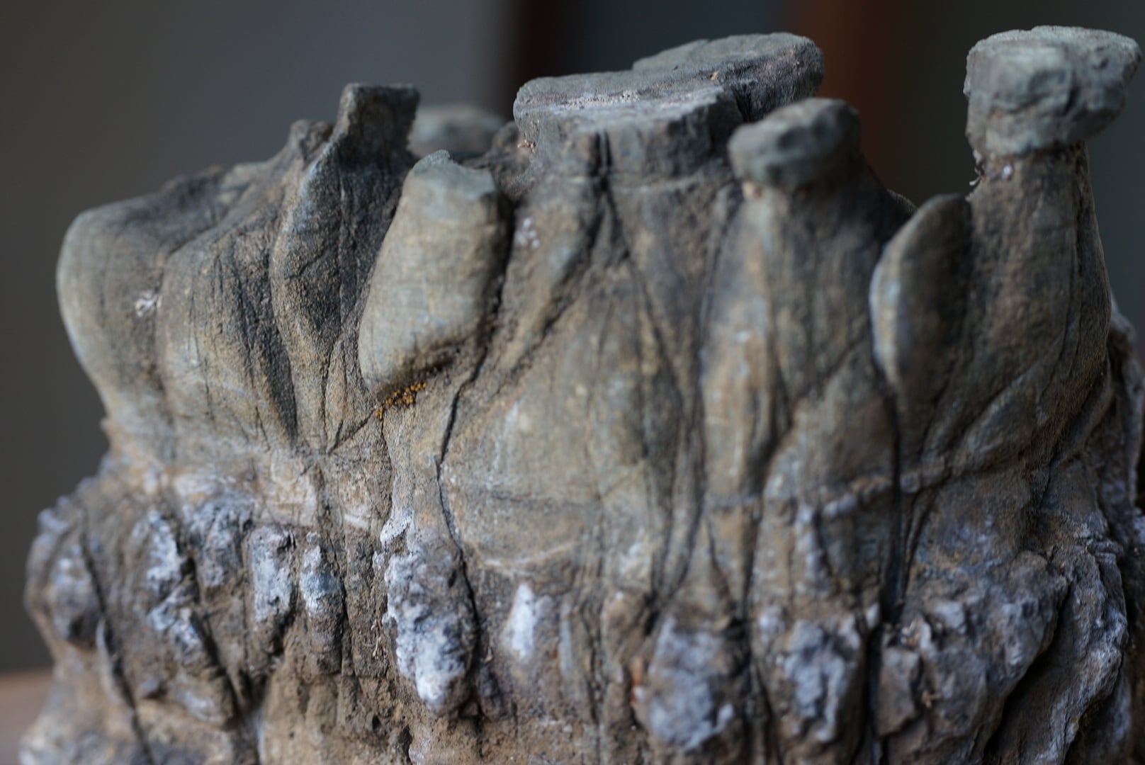 ポンピラ石 誉平石 亀甲石 水石 | 叙景 jokei