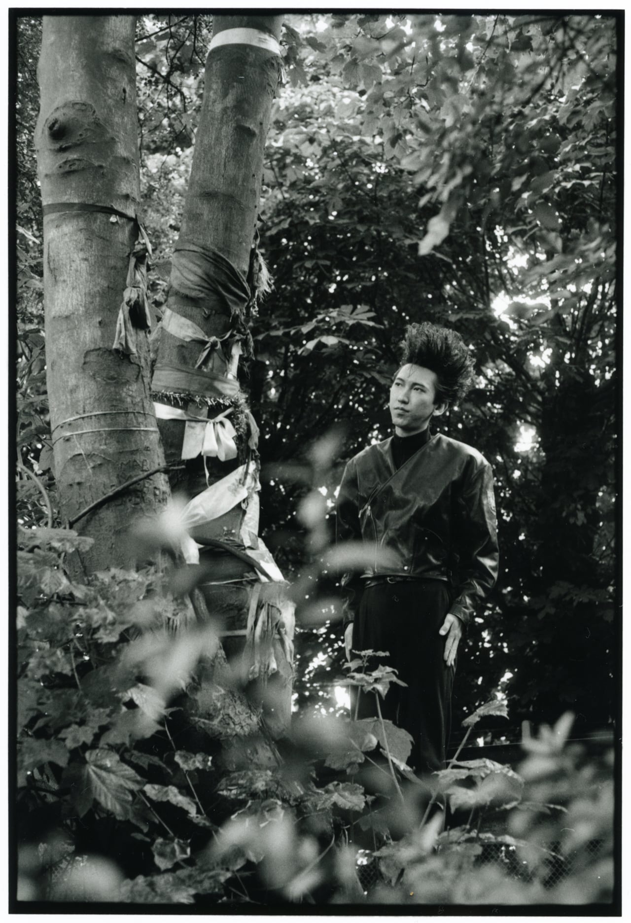 布袋寅泰】Glorious Days Herbie Yamaguchi ハービー・山口 -の商品