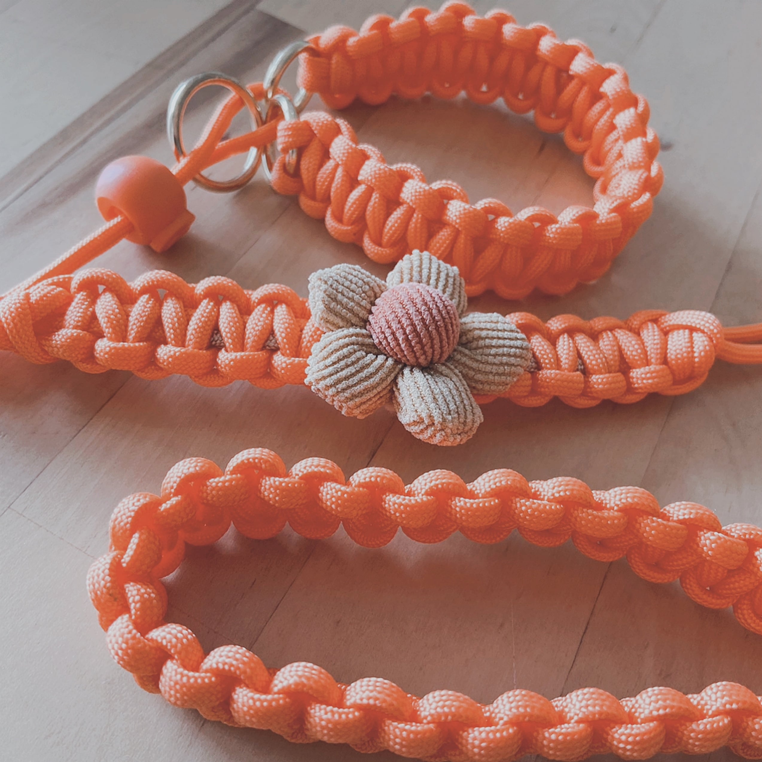 set【首輪一体型オーダーメイドリード（専用収納ポーチ付き）】パラ