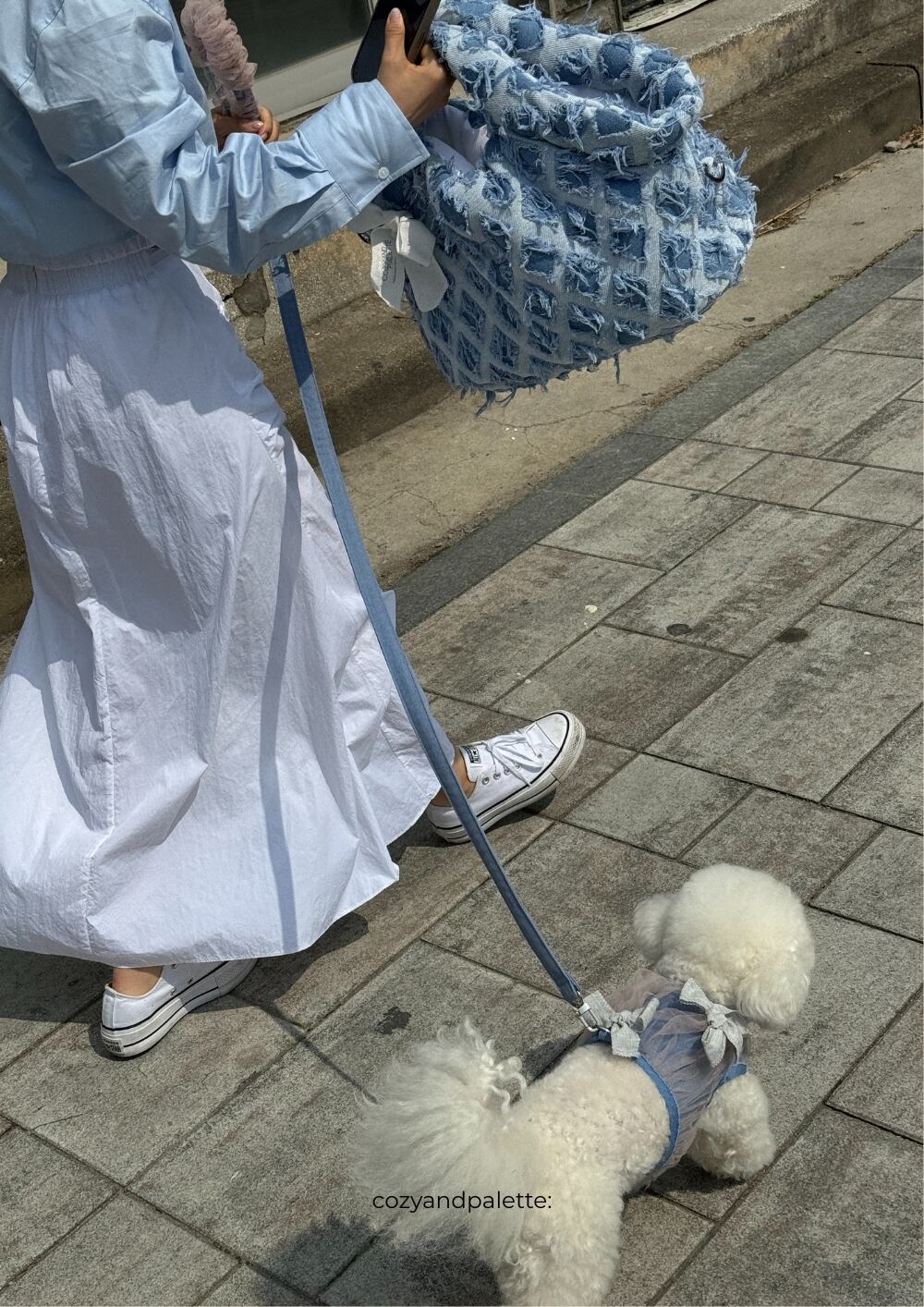 予約】[cozy-n] Butter bag (Denim version) | LUANA DOG