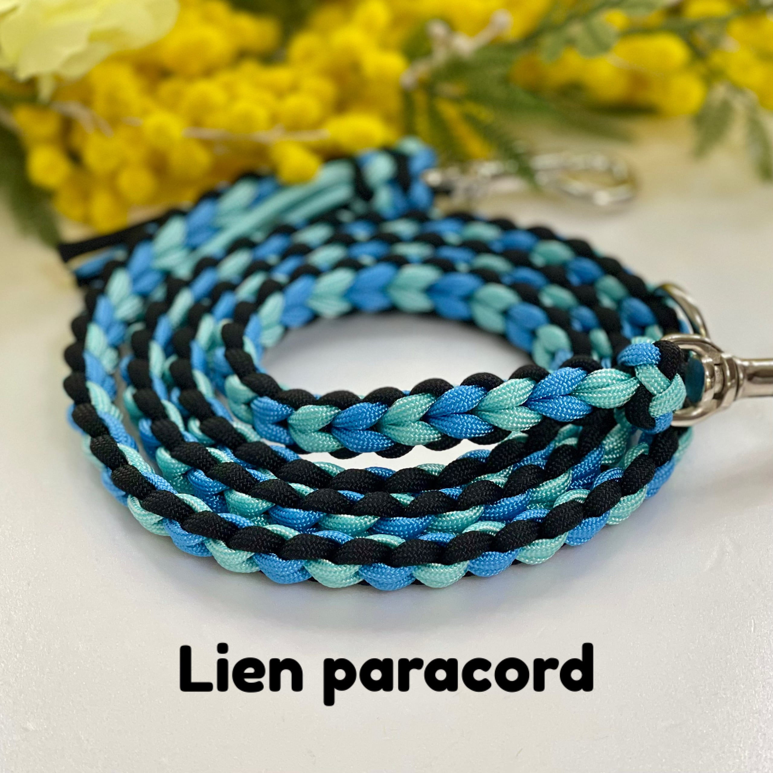 パラコード カフェリード☆6本ハート編み 24kg以下のわんちゃん用