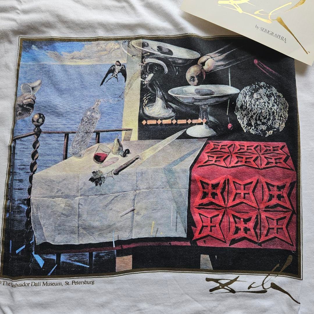 スペシャル 80's サルバドールダリ Tシャツ ビンテージ 80's JERZEES