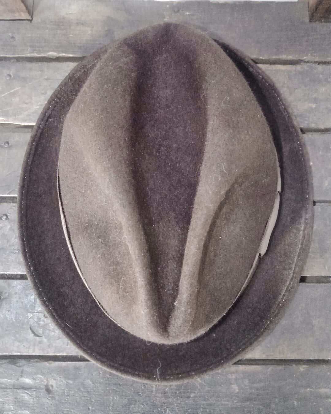 CA4LA bow Weave Toshi 犬用帽子 【公式通販】