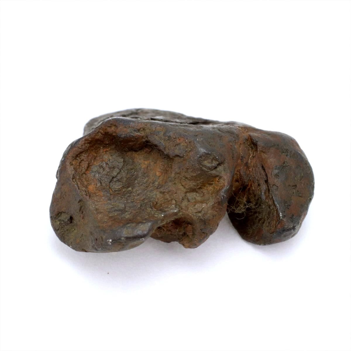 超希少！カルーンダ隕石 標本 【公式通販】