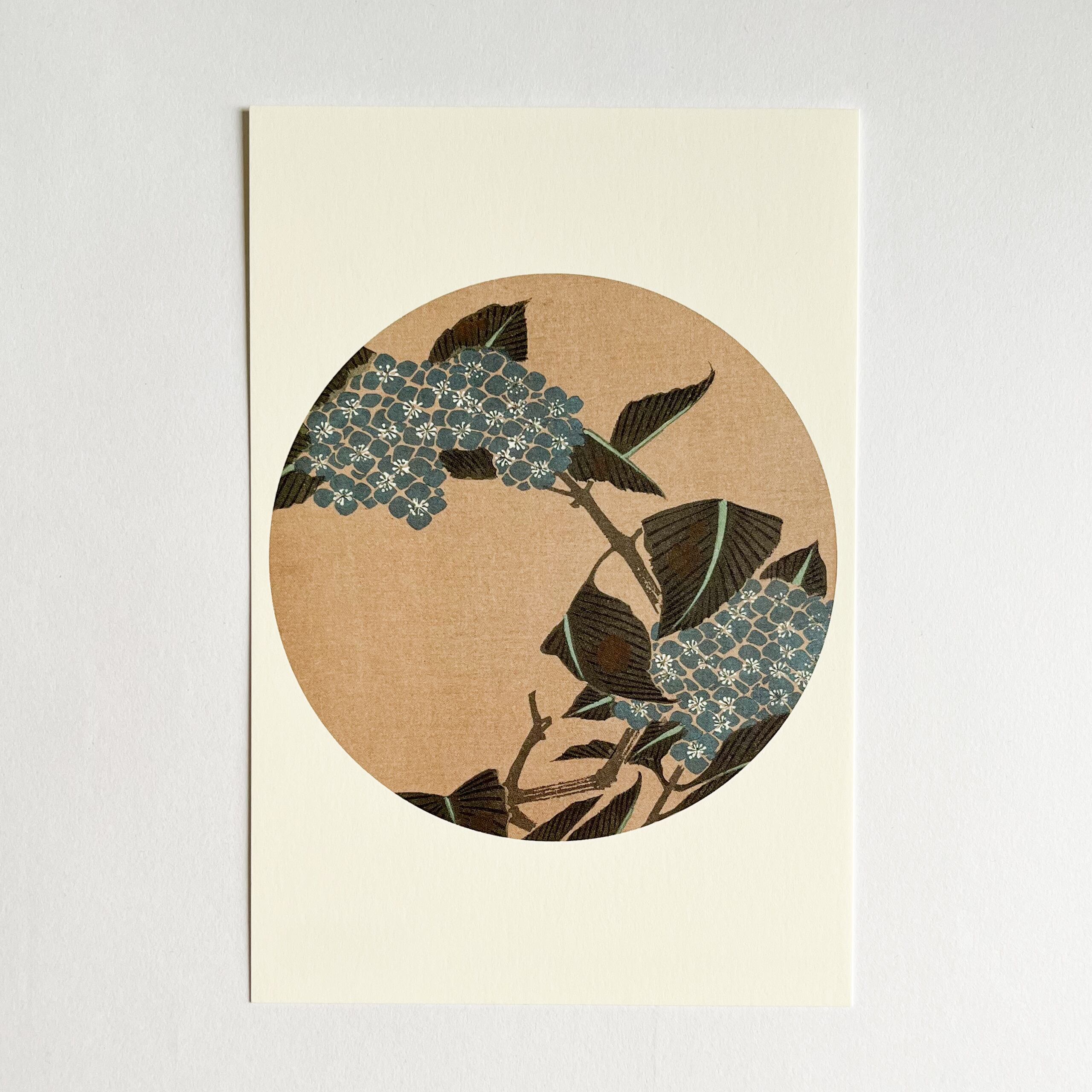 伊藤若冲 ポストカード 「花卉図天井画」紫陽花 | hmm, by 東京都