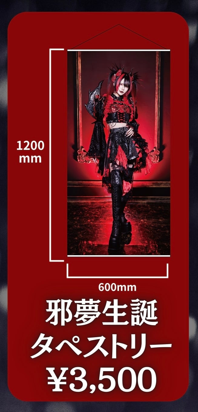 マドメド 那月邪夢チェキ9枚セット MAD MEDiCiNE マドメド 那月邪夢